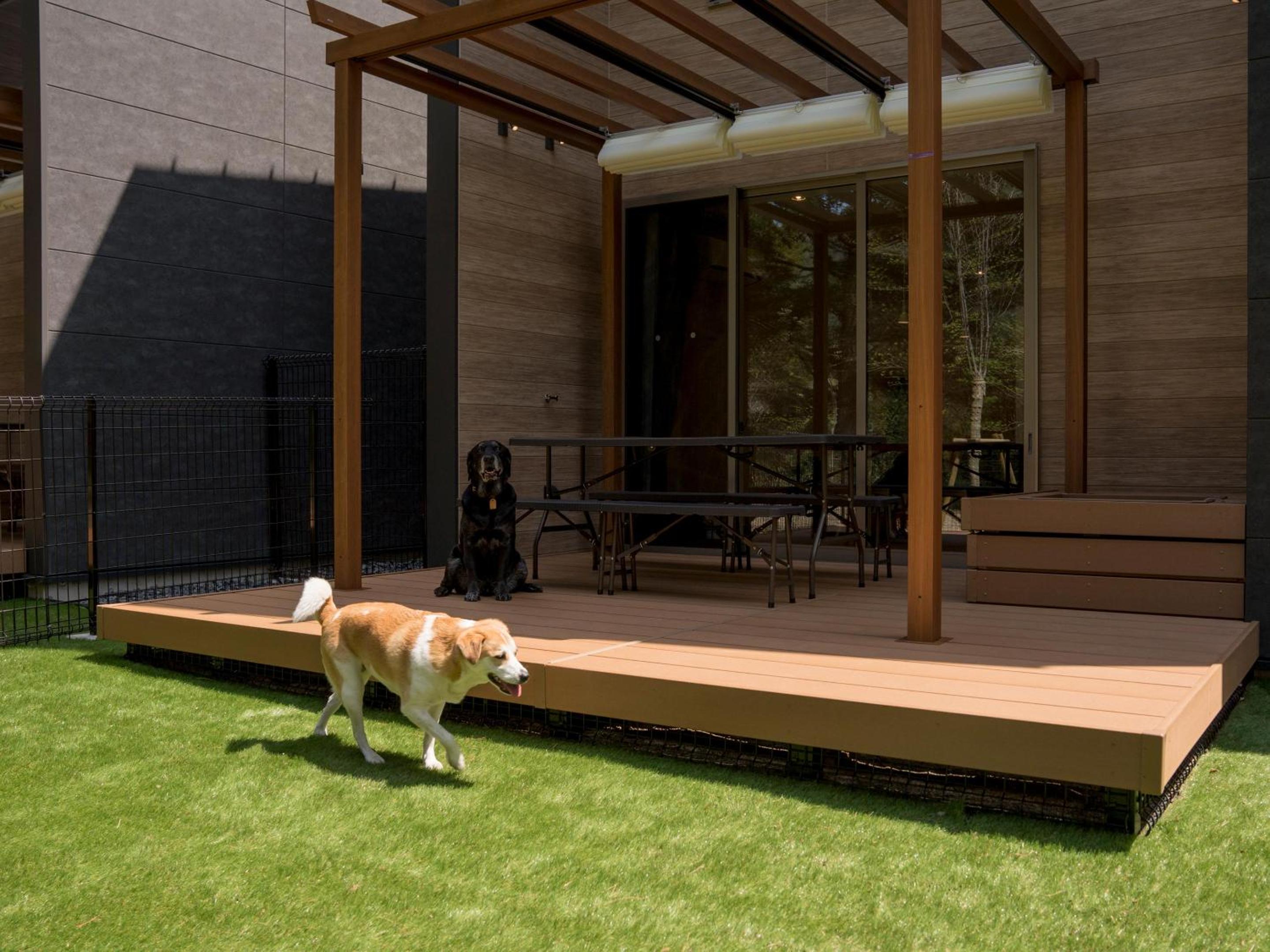 B type：Natural hot springs, sauna, dog run [dog-friendly] - Photo 5