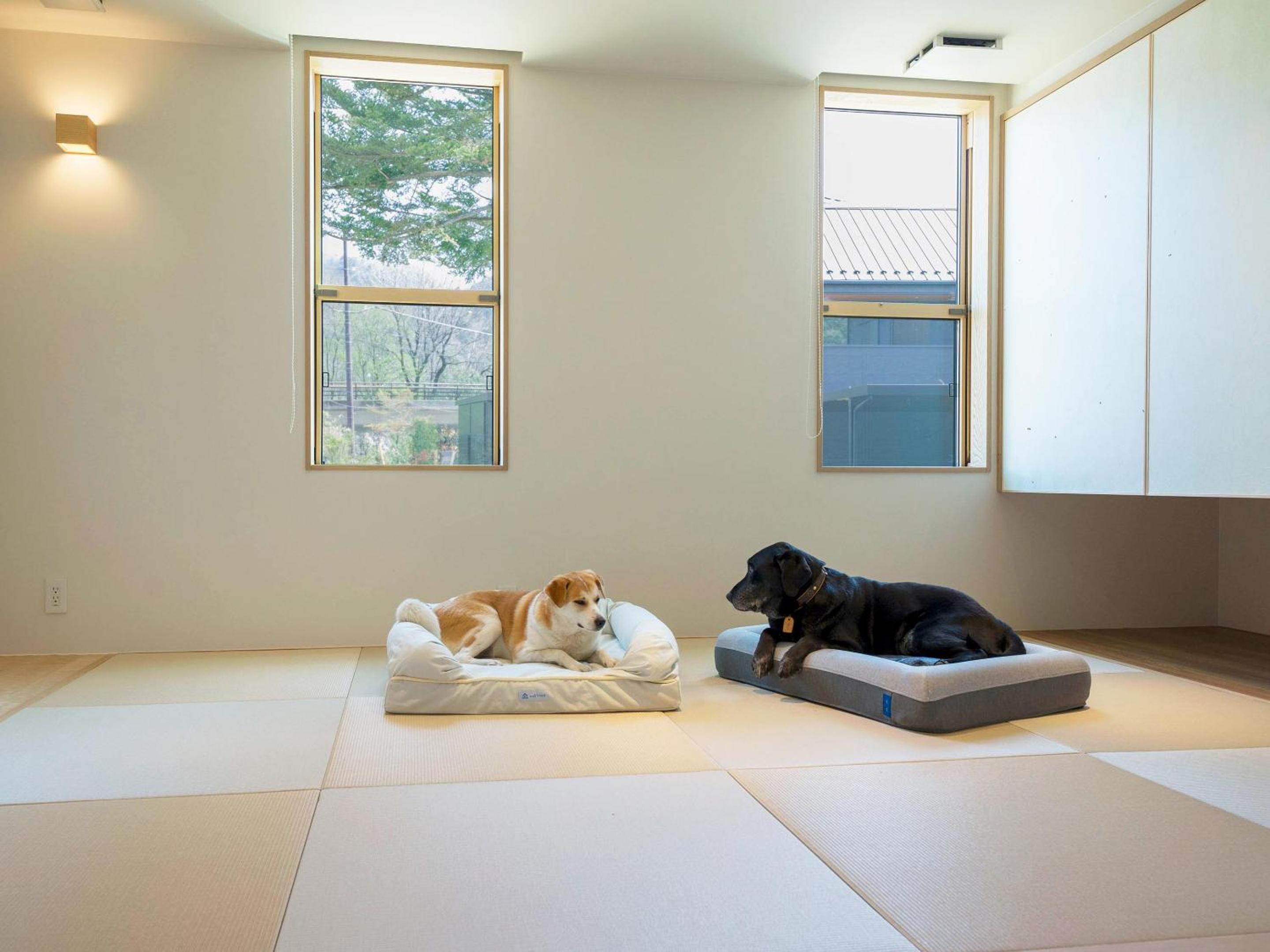 B type：Natural hot springs, sauna, dog run [dog-friendly] - Photo 3