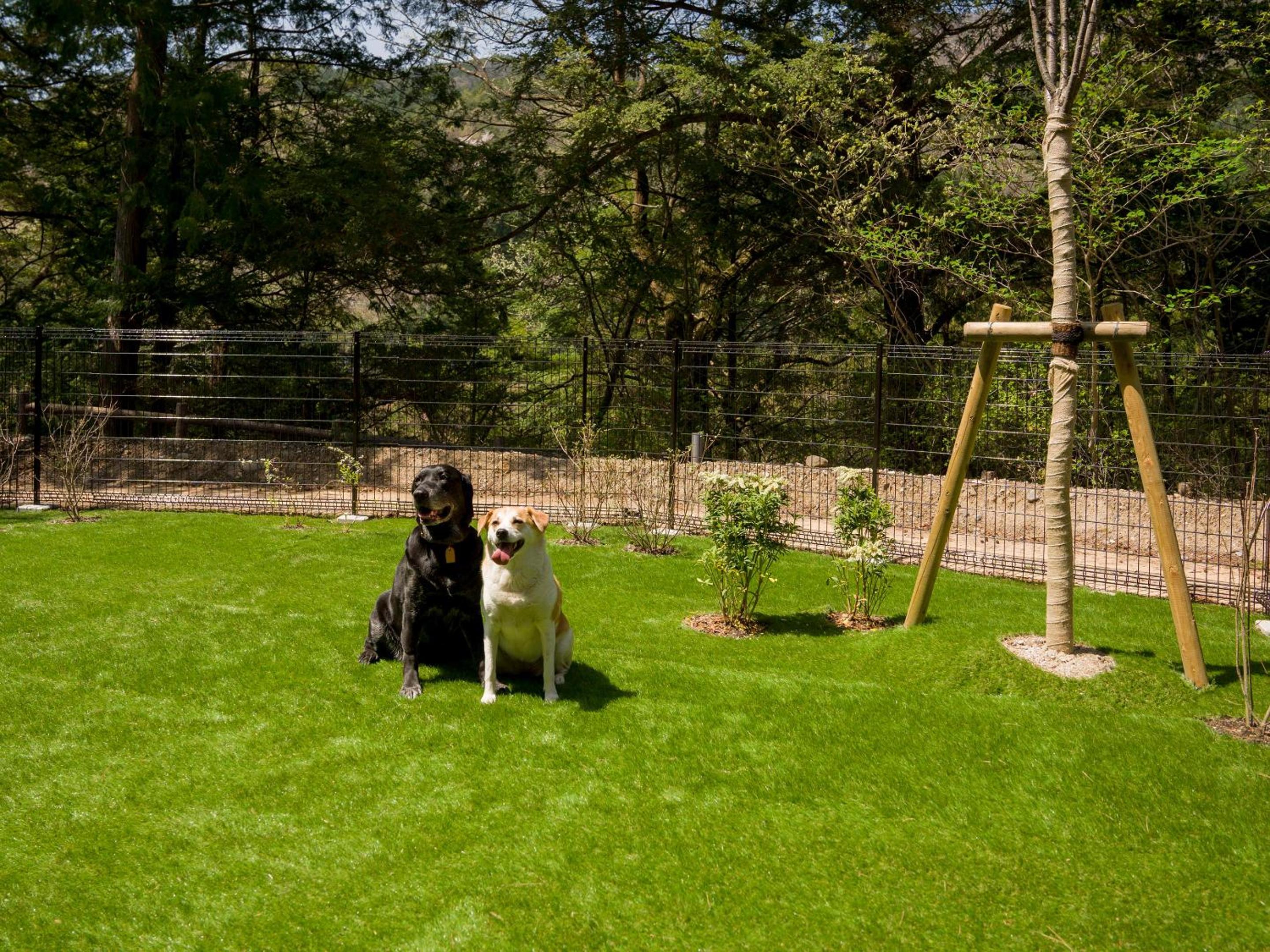 B type：Natural hot springs, sauna, dog run [dog-friendly] - Photo 9