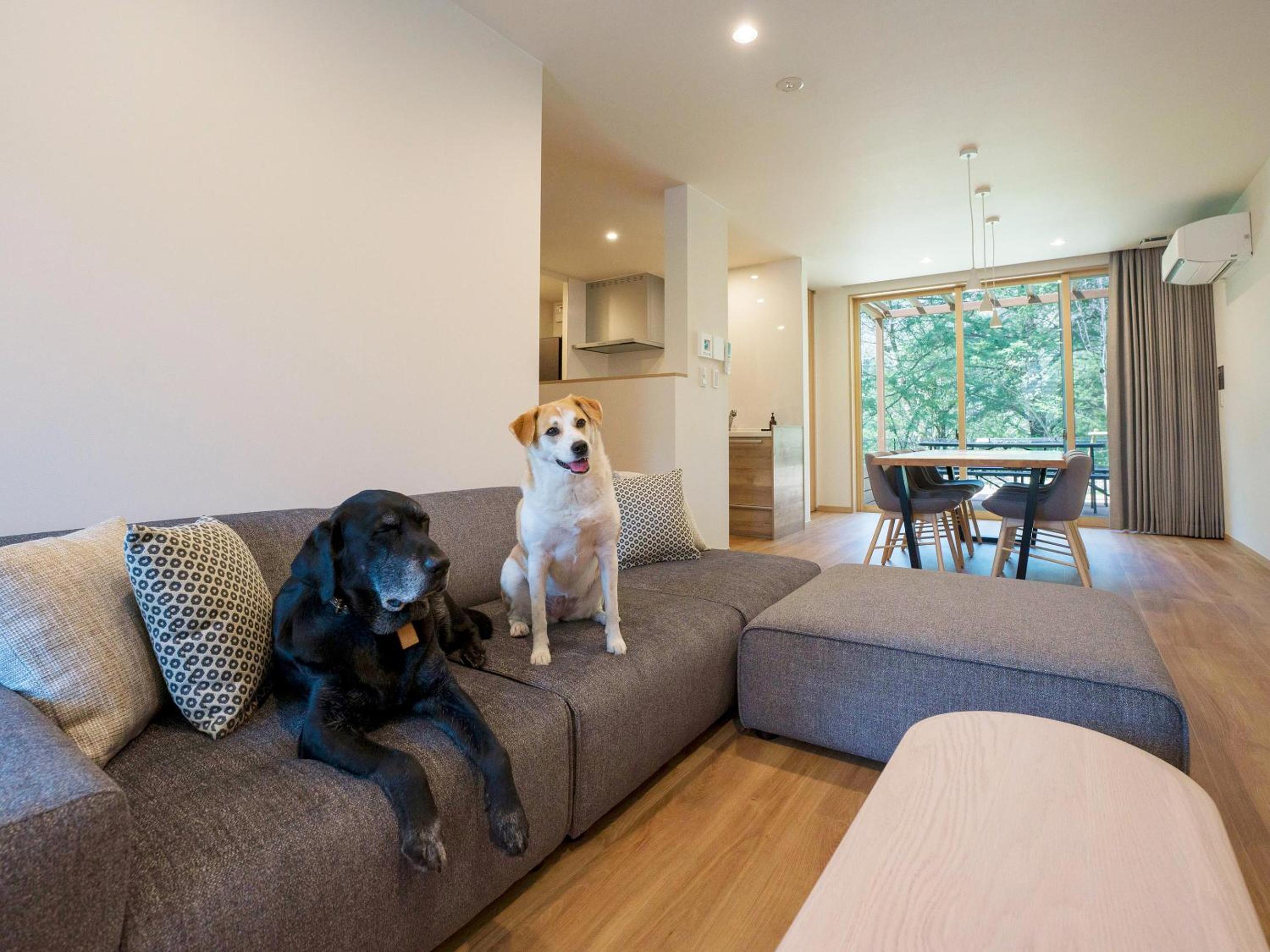 B type：Natural hot springs, sauna, dog run [dog-friendly] - Photo 10