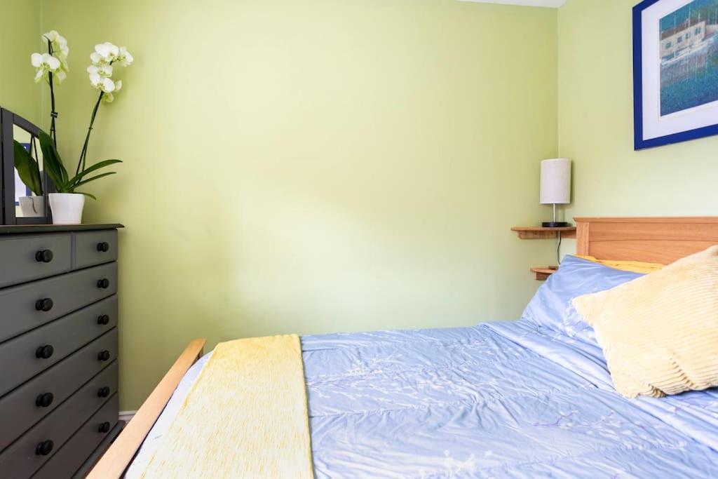 One-Bedroom House photo 1