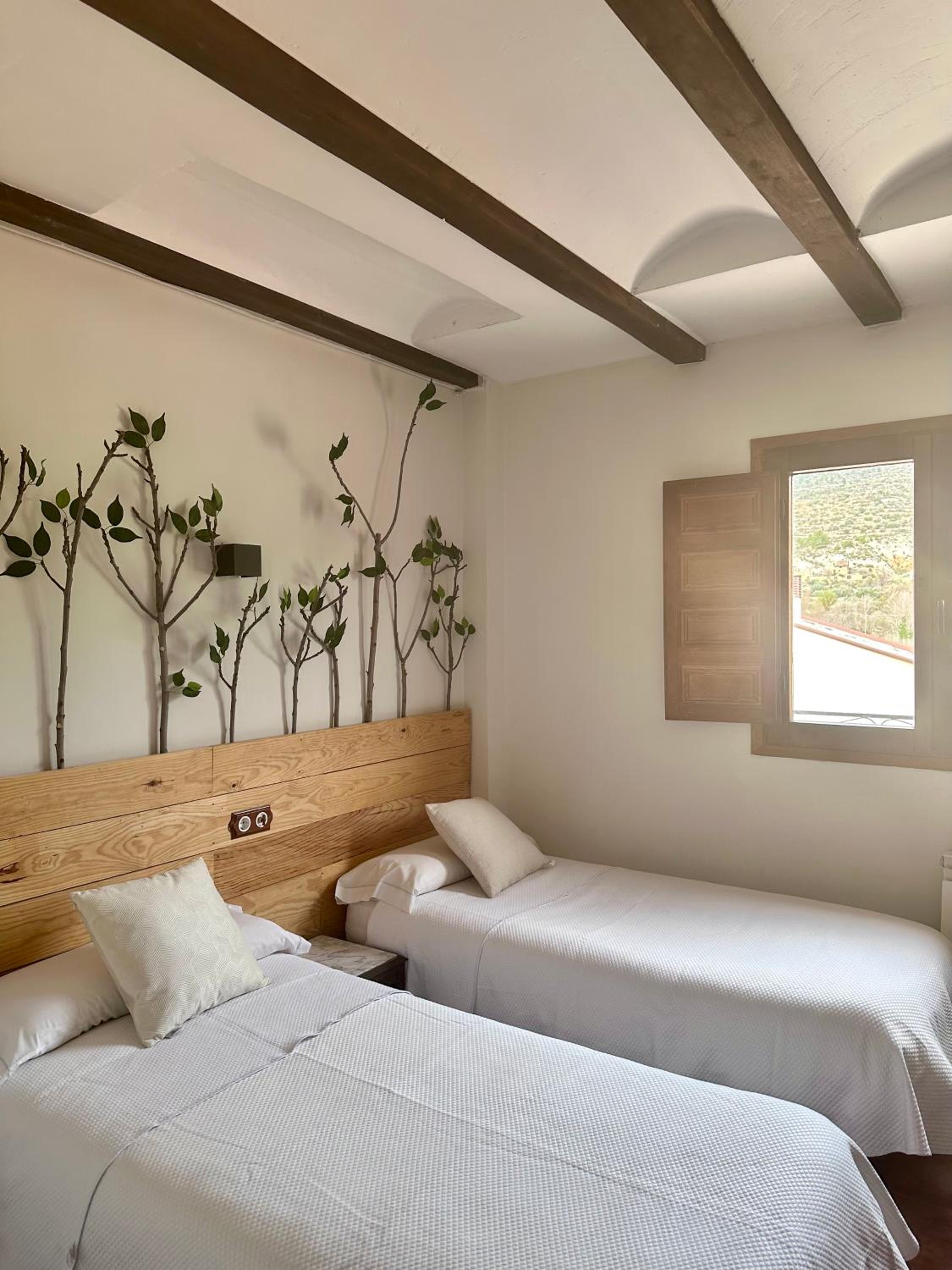 Twin Room photo 2