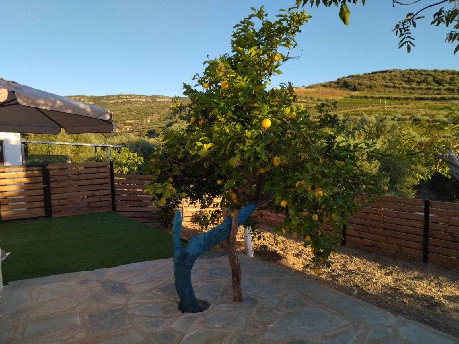 Vacation Home photo 2