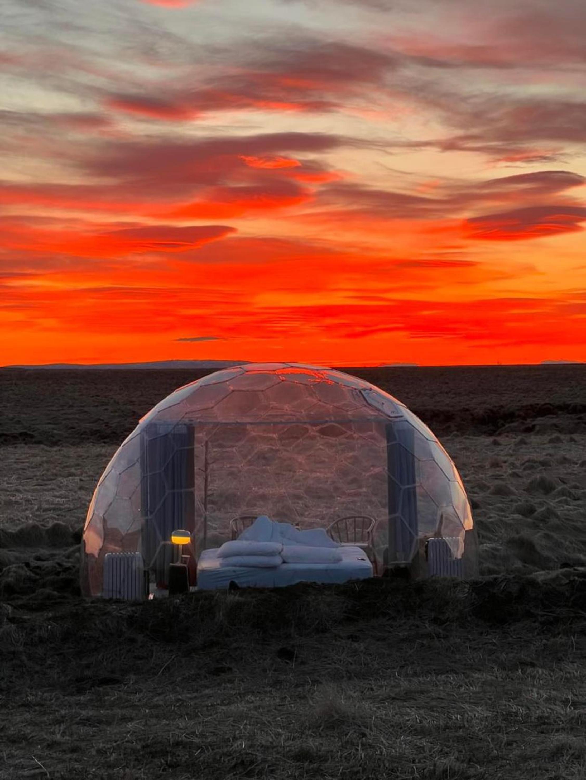  Igloo Dome - Standard - Photo 7