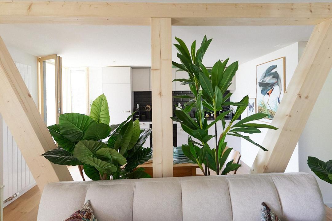 One-Bedroom Apartment with View