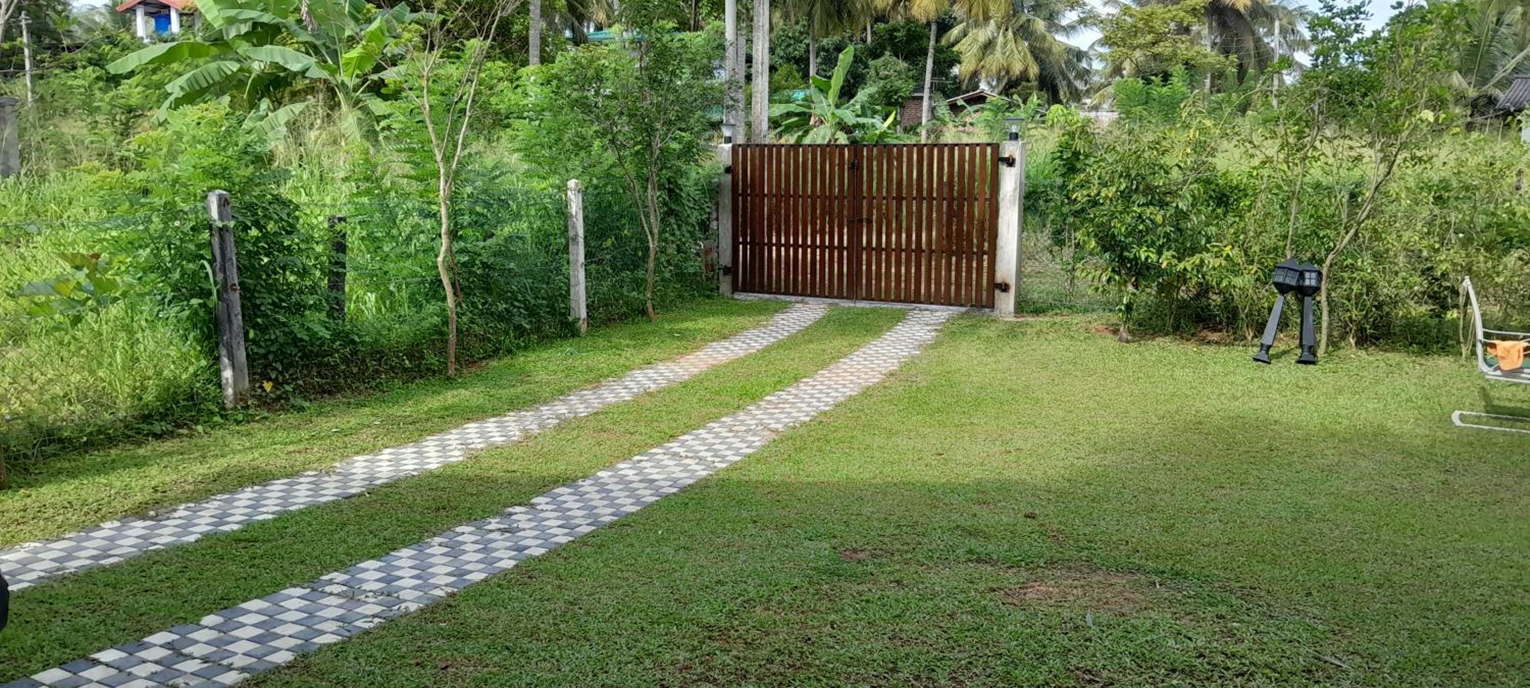 Deluxe Bungalow With Garden View photo 3