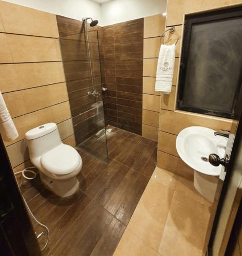 Deluxe Double or Twin Room photo 3