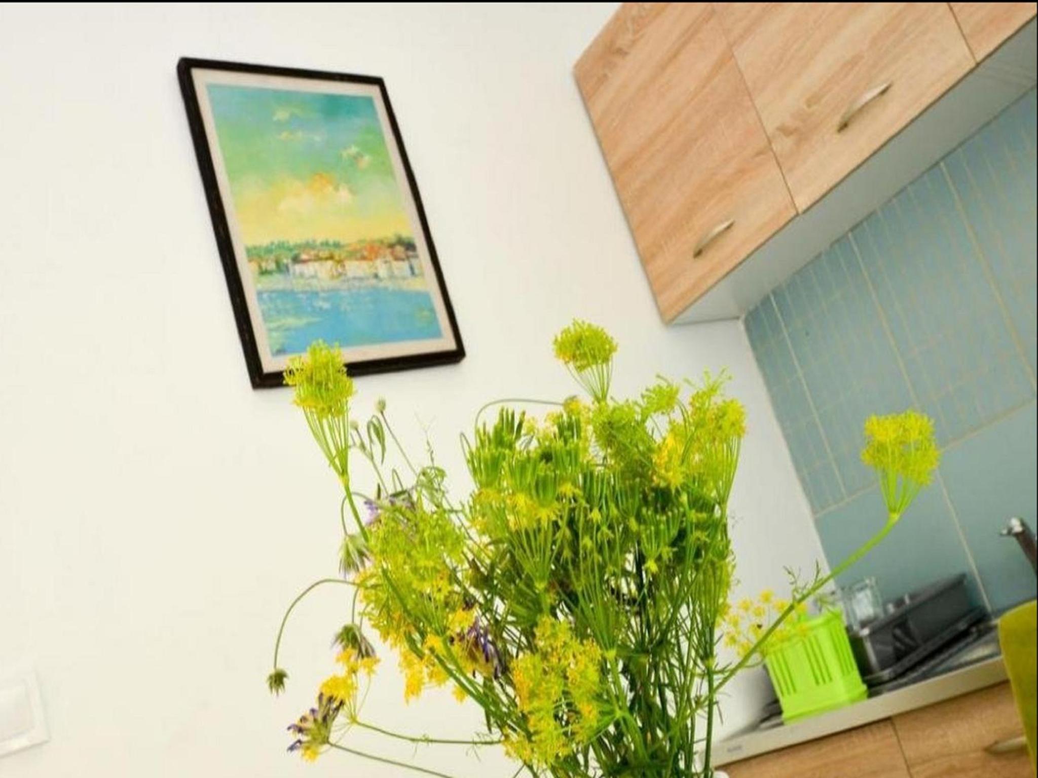One Bedroom  Apartment photo 2