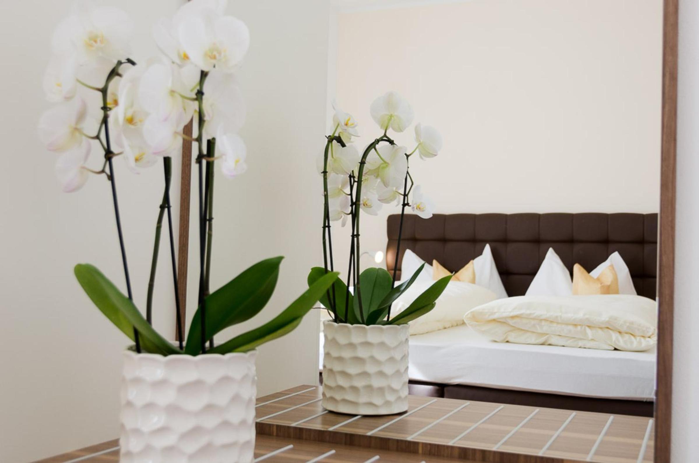 Two-Bedroom Superior Apartment