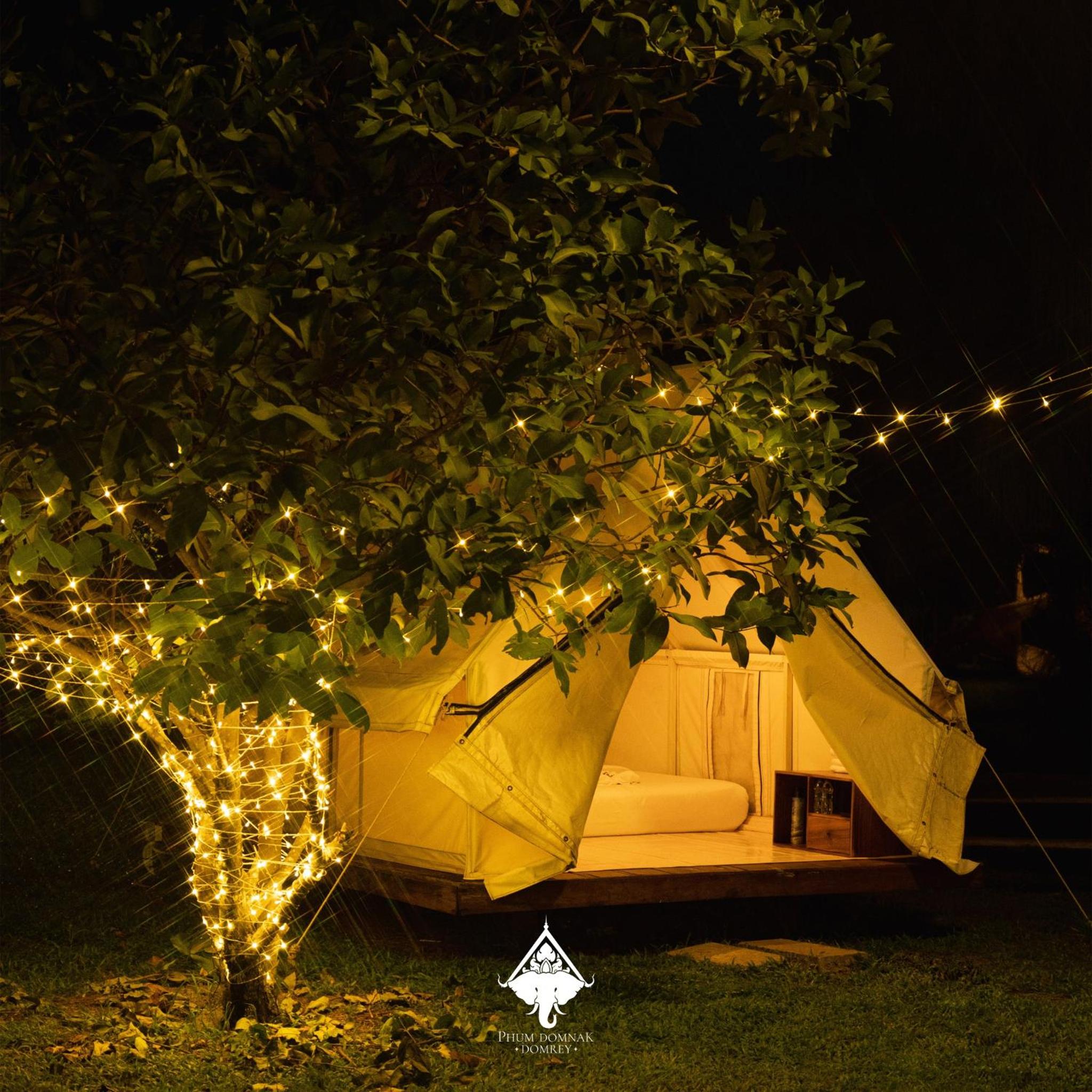 Tent - Photo 1