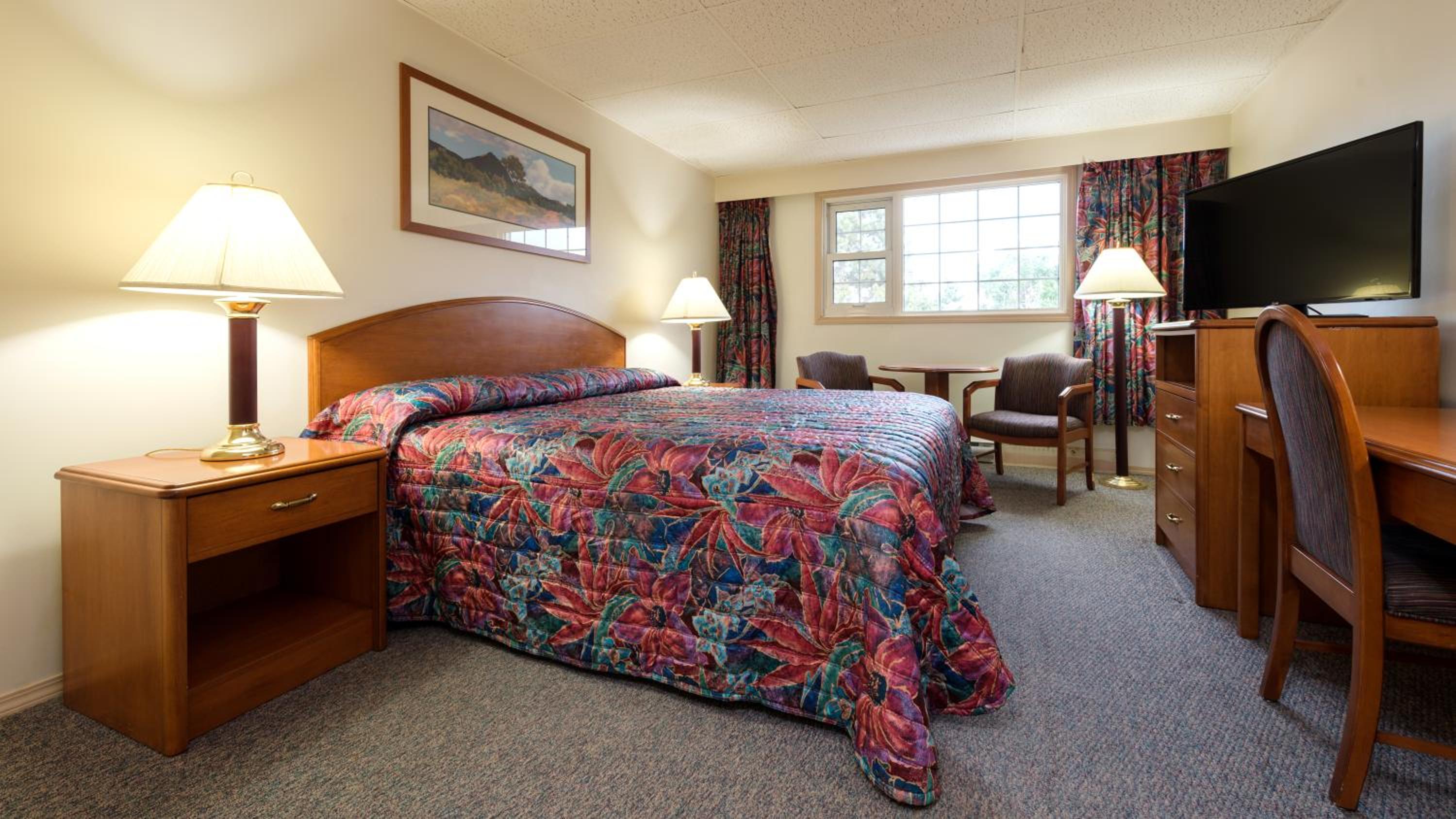 King Room photo 1