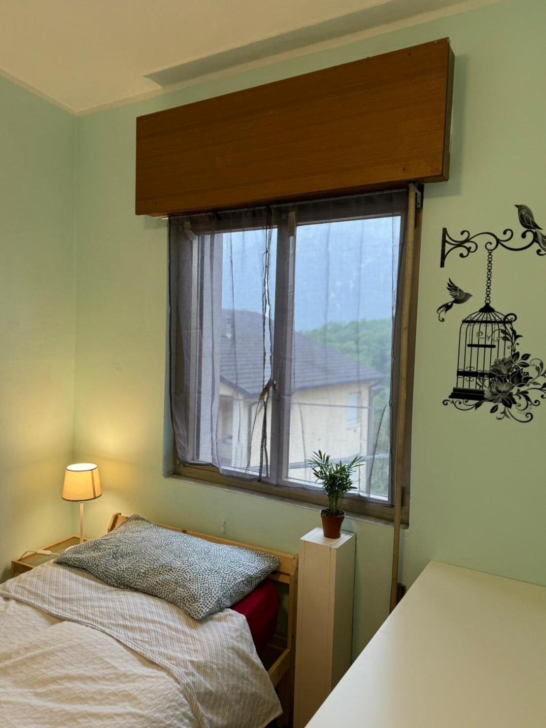 Single Room photo 1