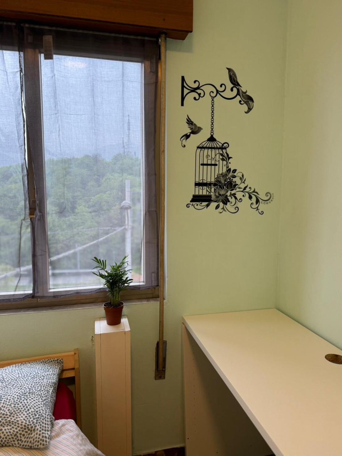 Single Room photo 3