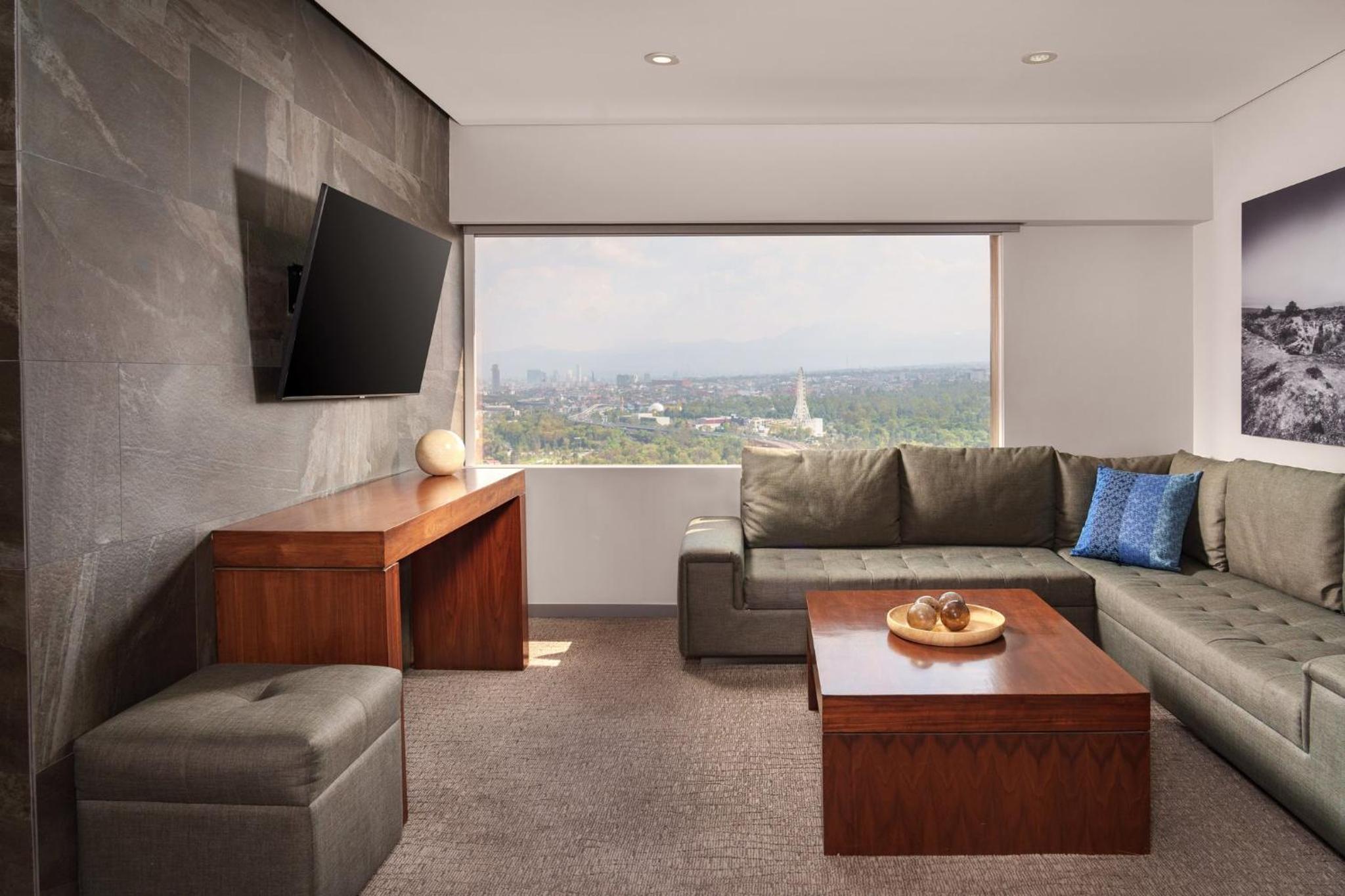 One-Bedroom King Suite