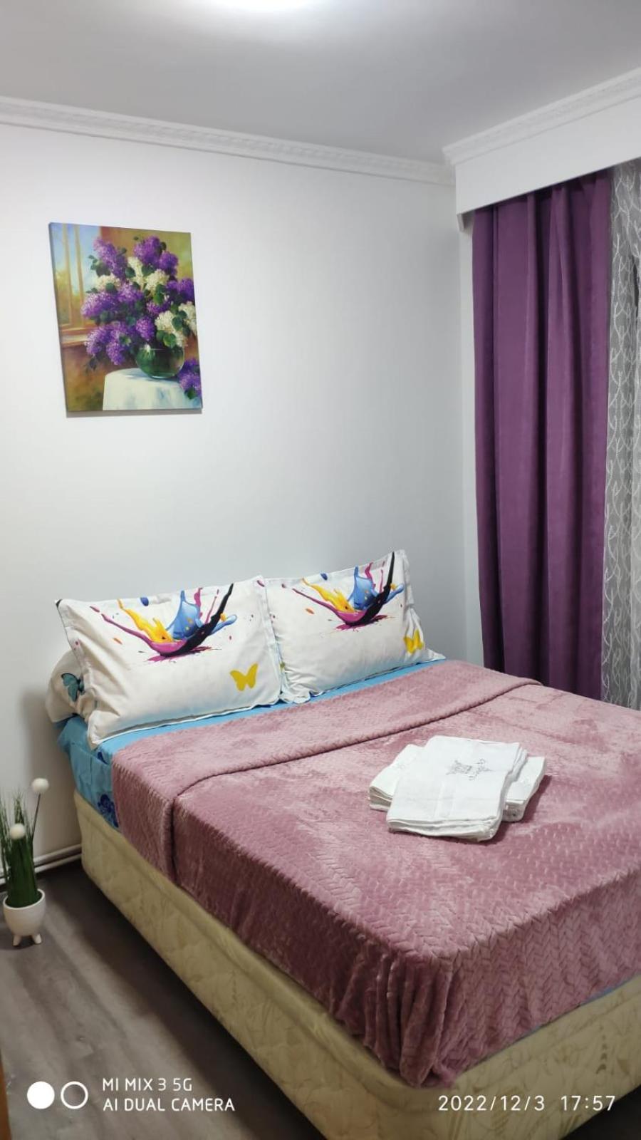 One-Bedroom Apartment photo 1
