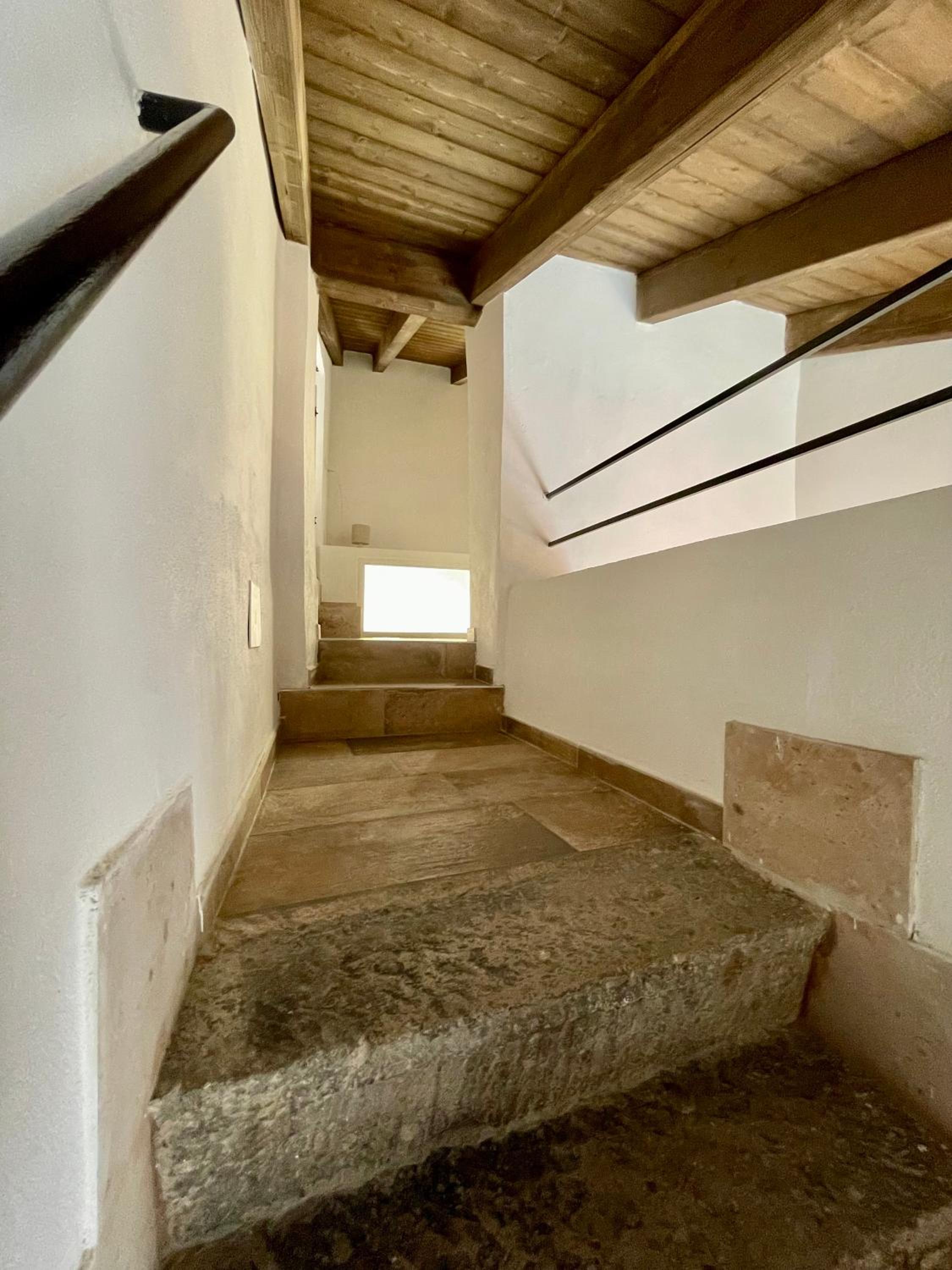 Apartment with Terrace photo 3