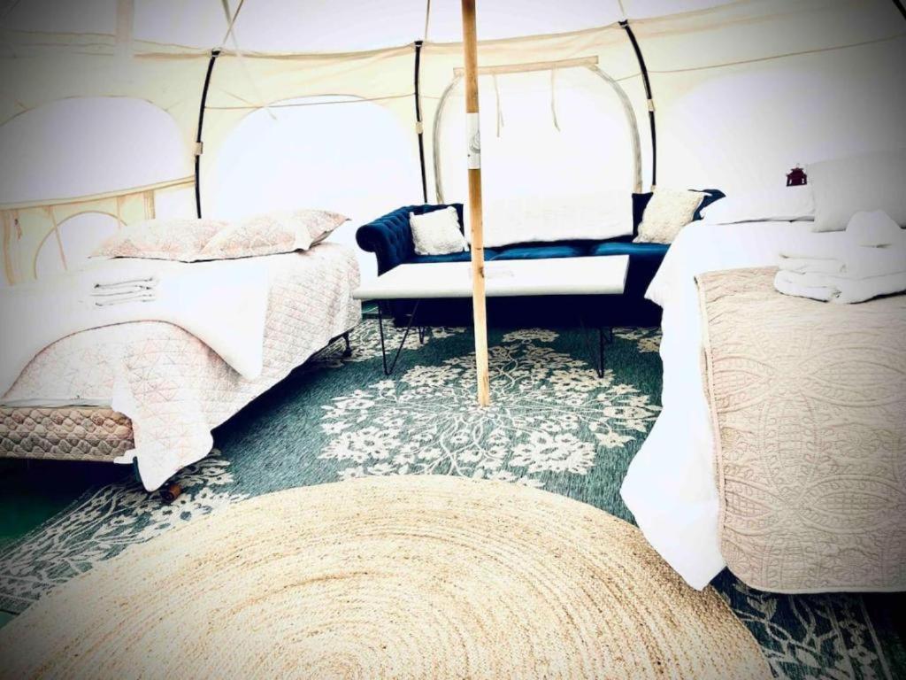Tent photo 1