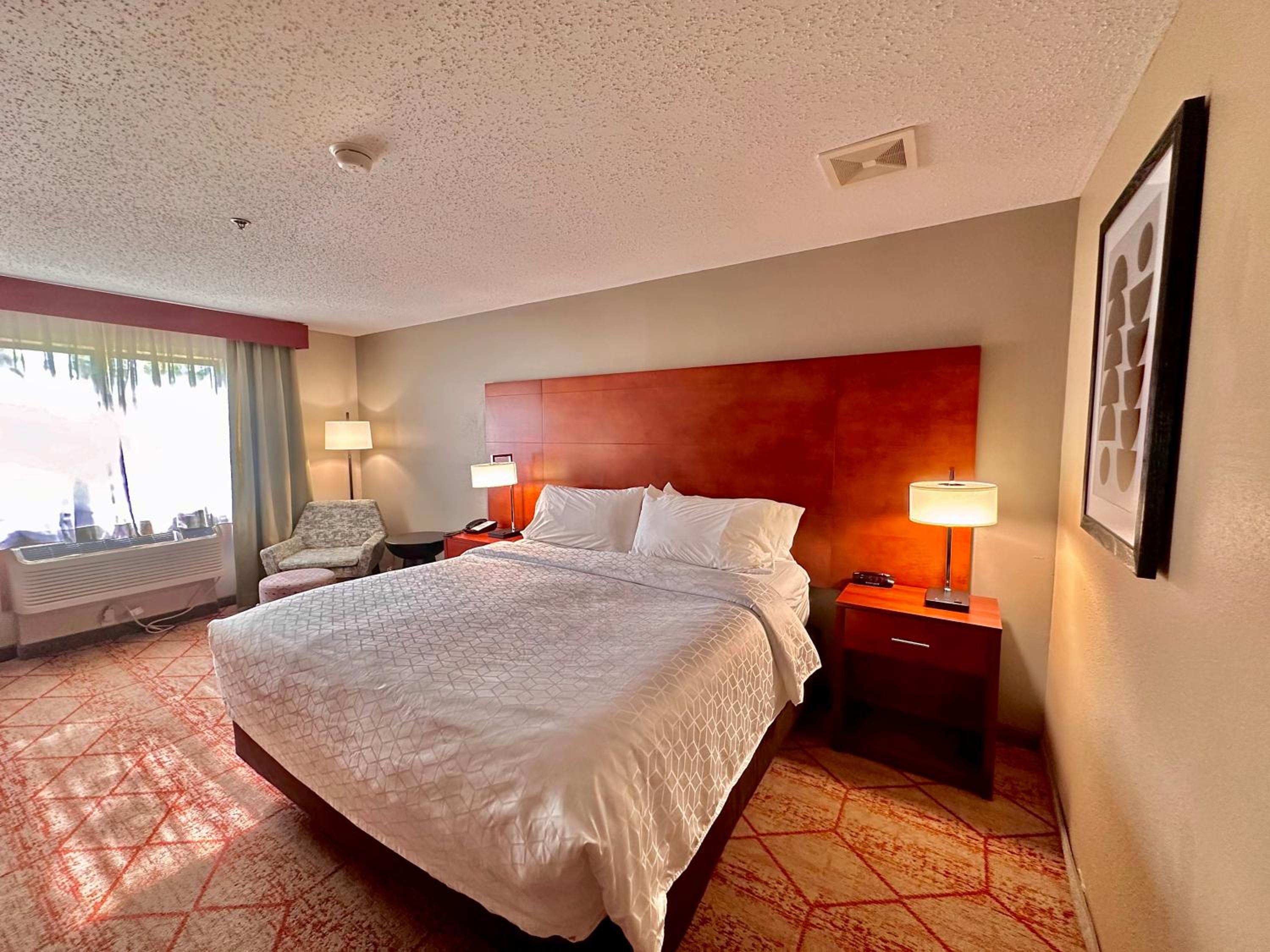 King Room - Non-Smoking - Photo 1