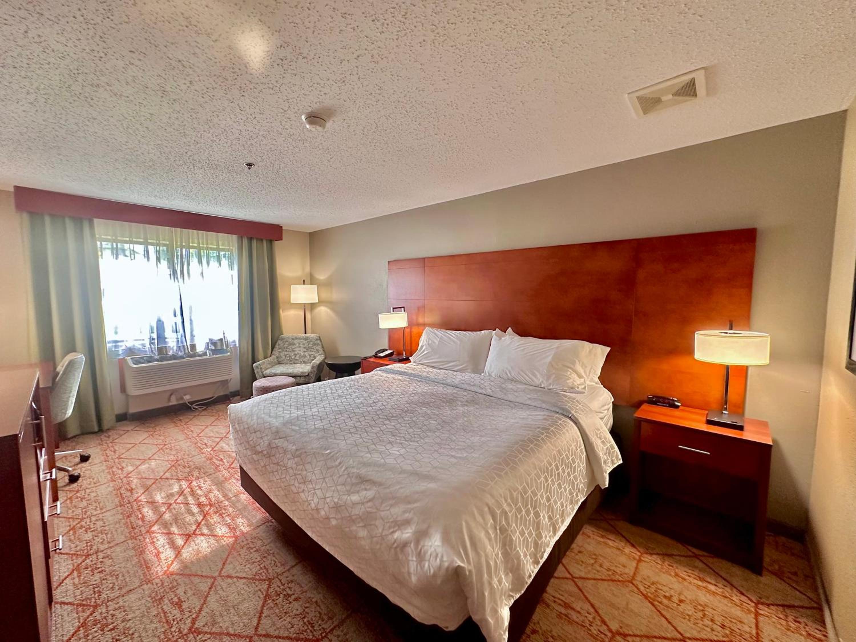 King Room - Non-Smoking - Photo 3