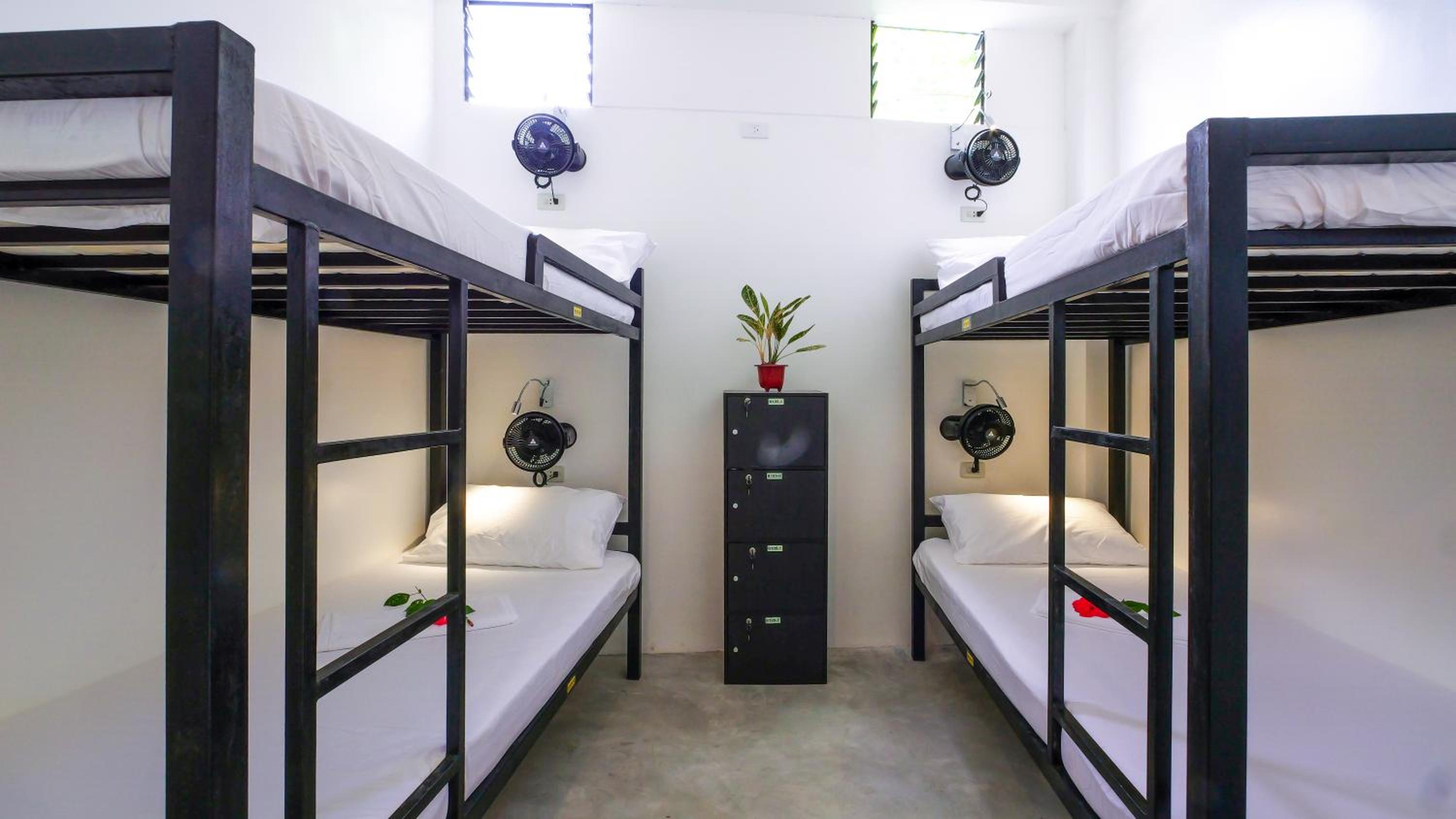 4-Bed Mixed Dormitory Room photo 1