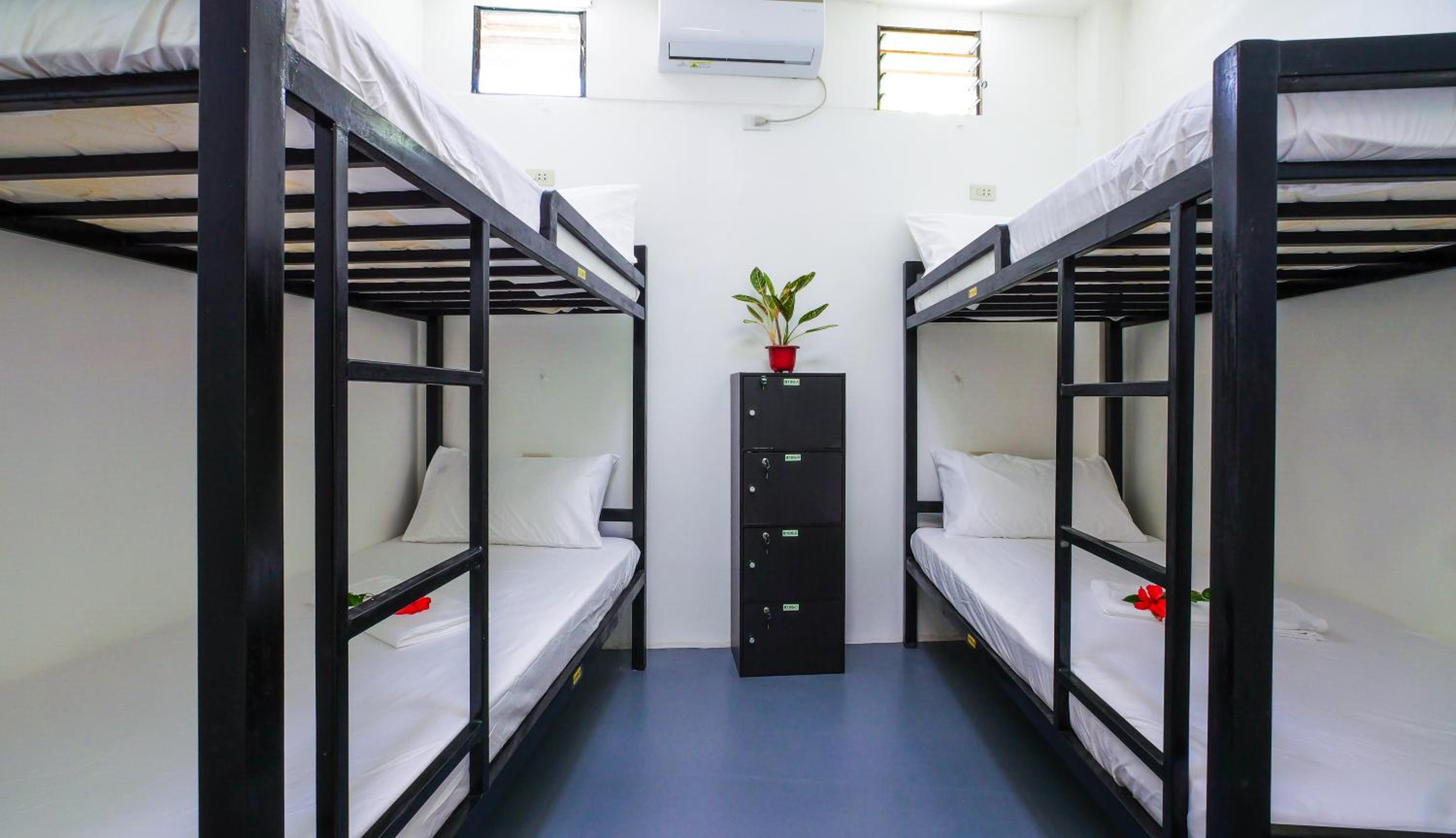 4-Bed Mixed Dormitory Room photo 1
