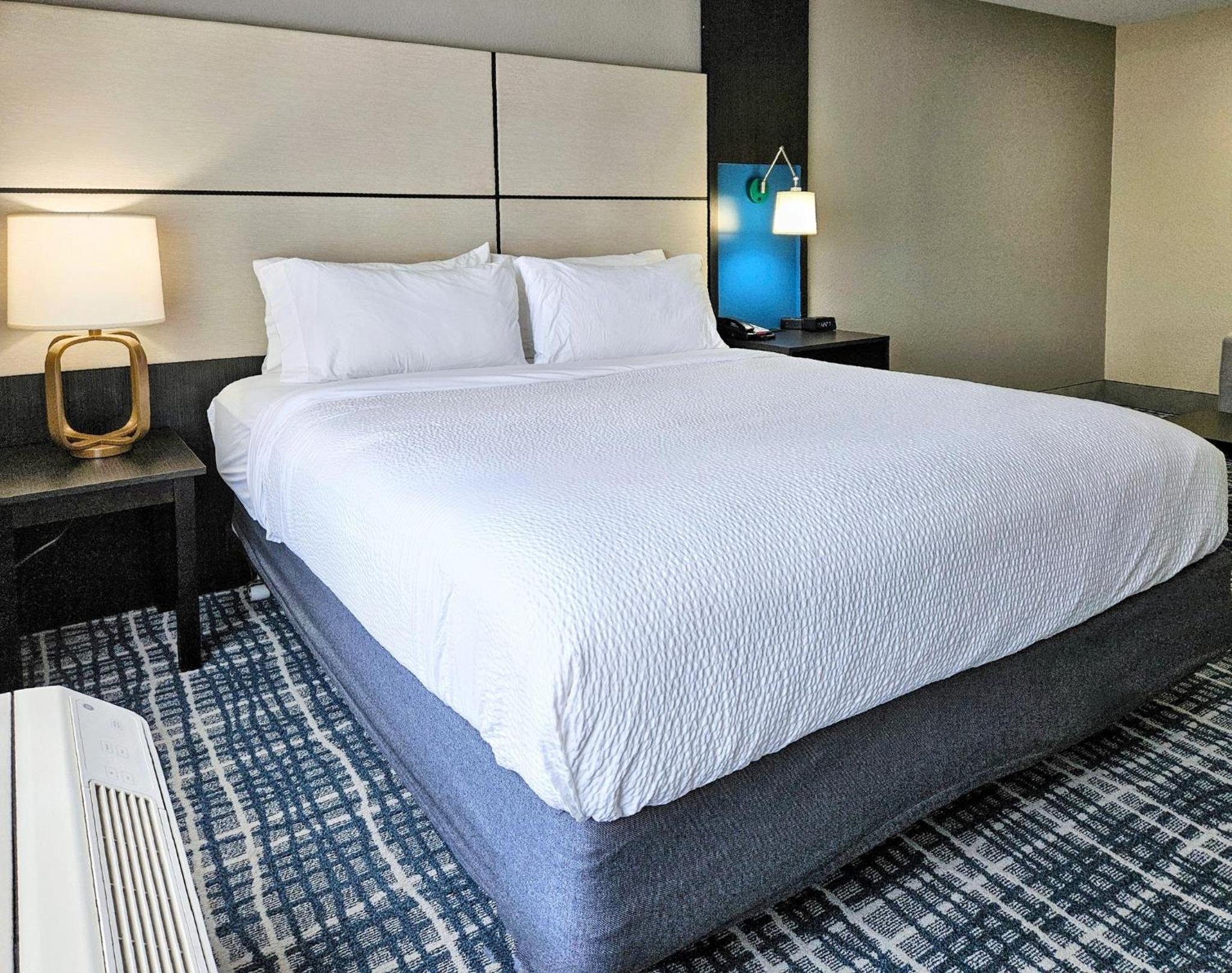 King Suite - Photo 7