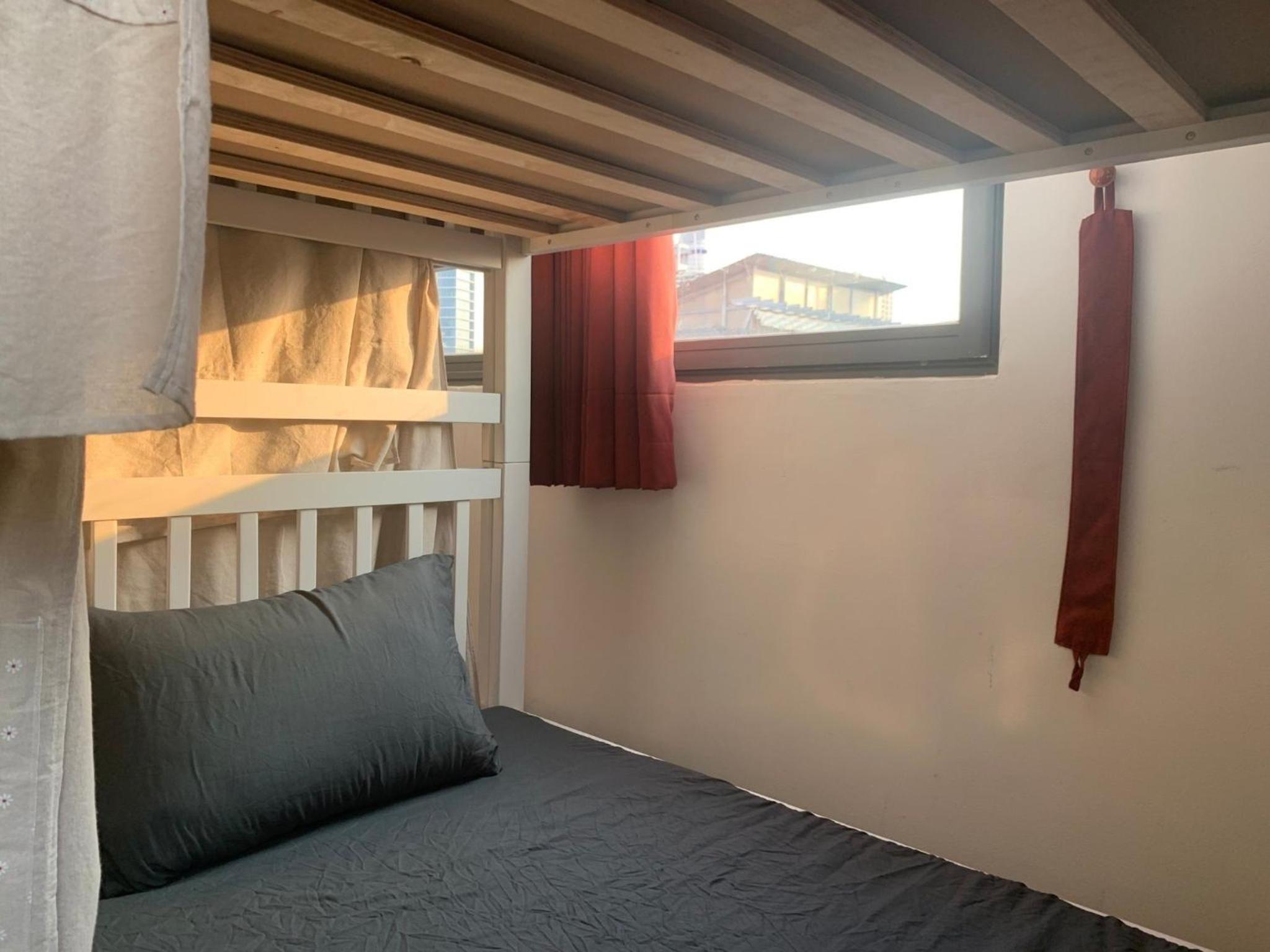 Bunk Bed in Mixed Dormitory Room