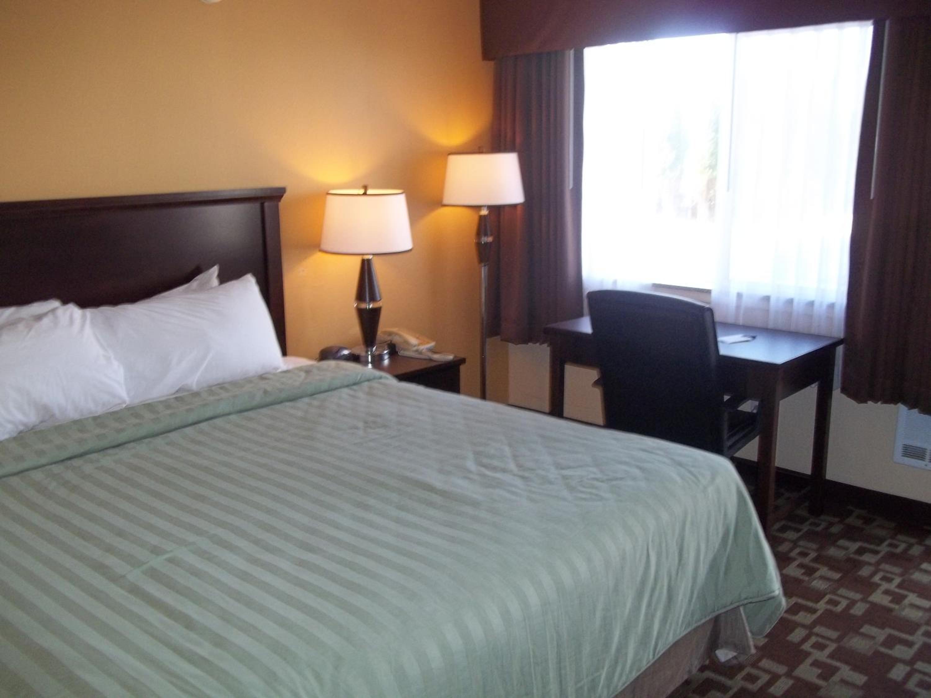 King Room - Non-Smoking - Photo 4