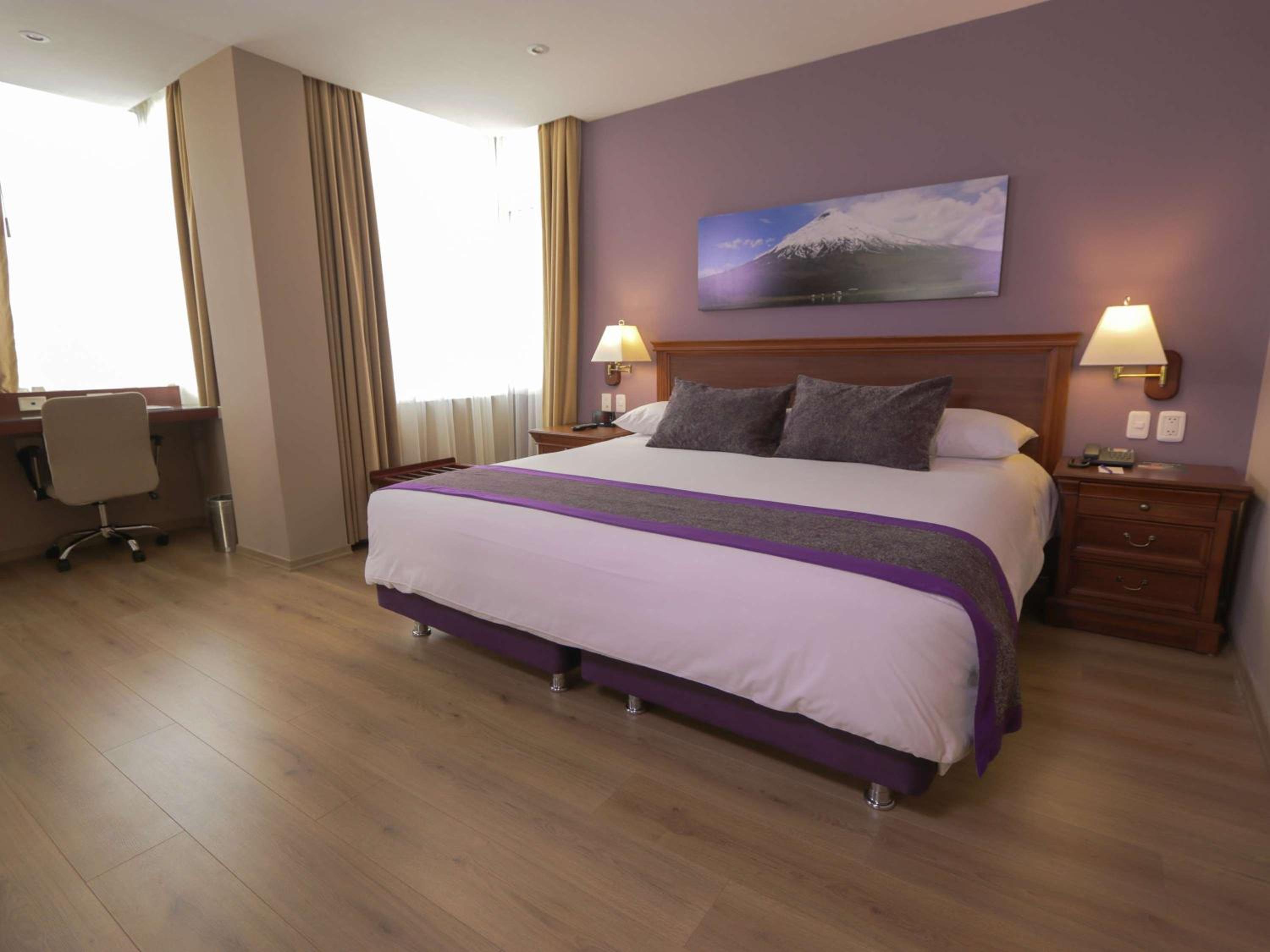 Superior King Room with One King Bed - Photo 22