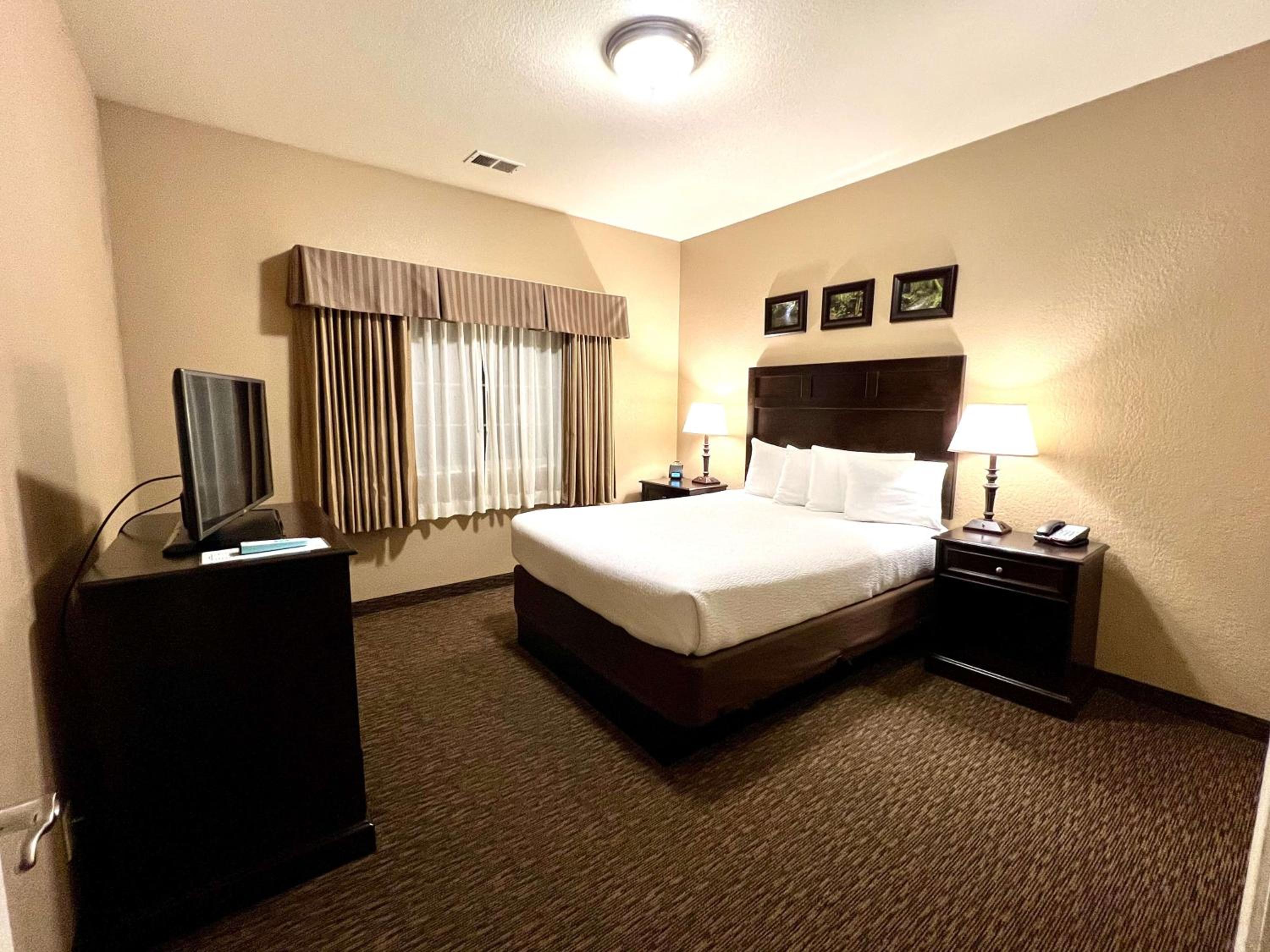 One-Bedroom Queen Suite with Sofa Bed photo 1