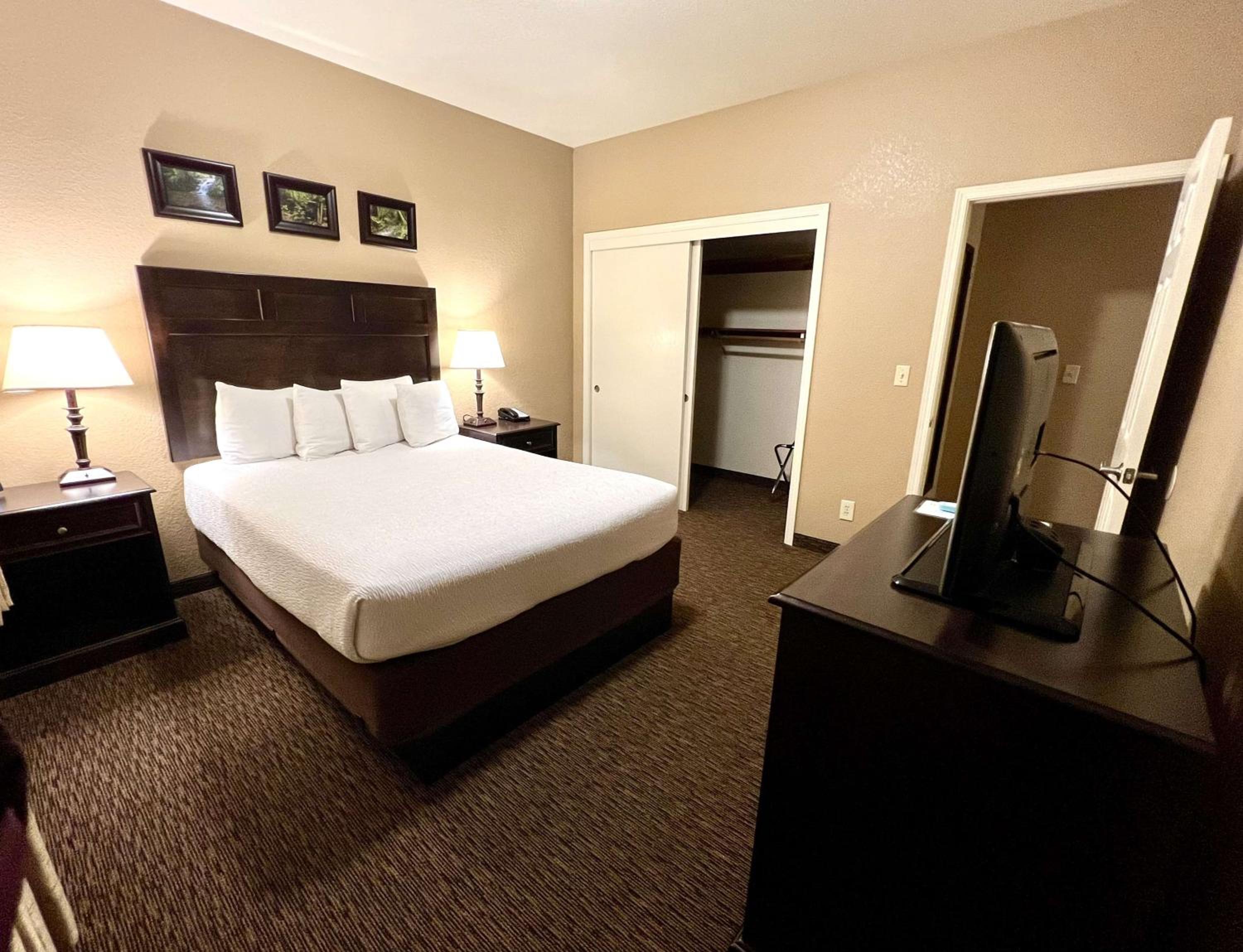 One-Bedroom Queen Suite with Sofa Bed photo 2