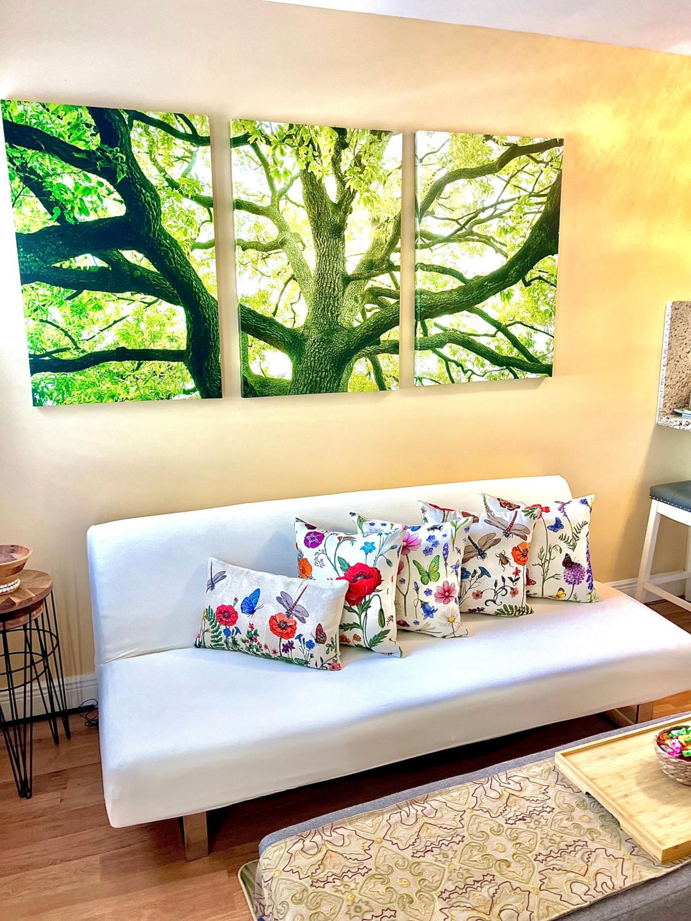One-Bedroom House photo 2