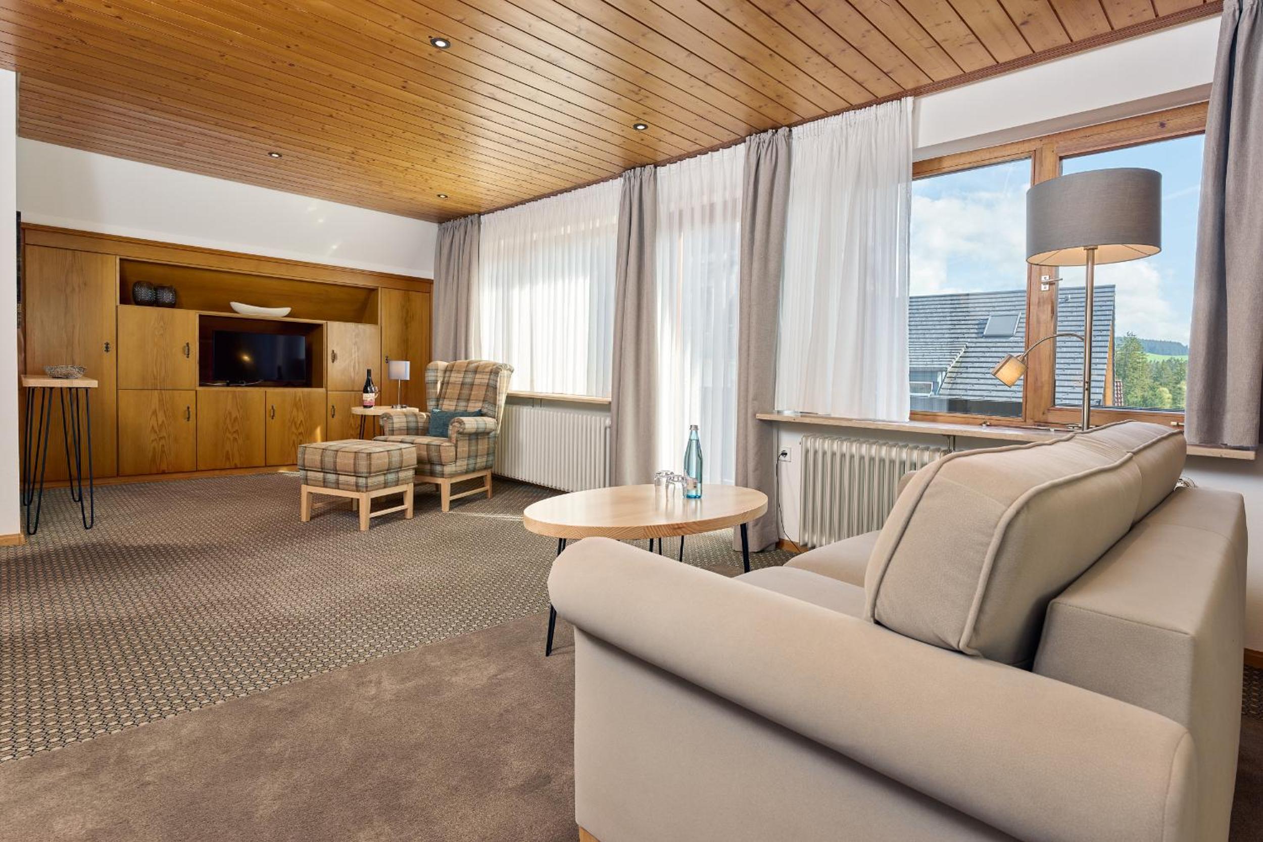 Superior One-Bedroom Apartment with Balcony photo 3