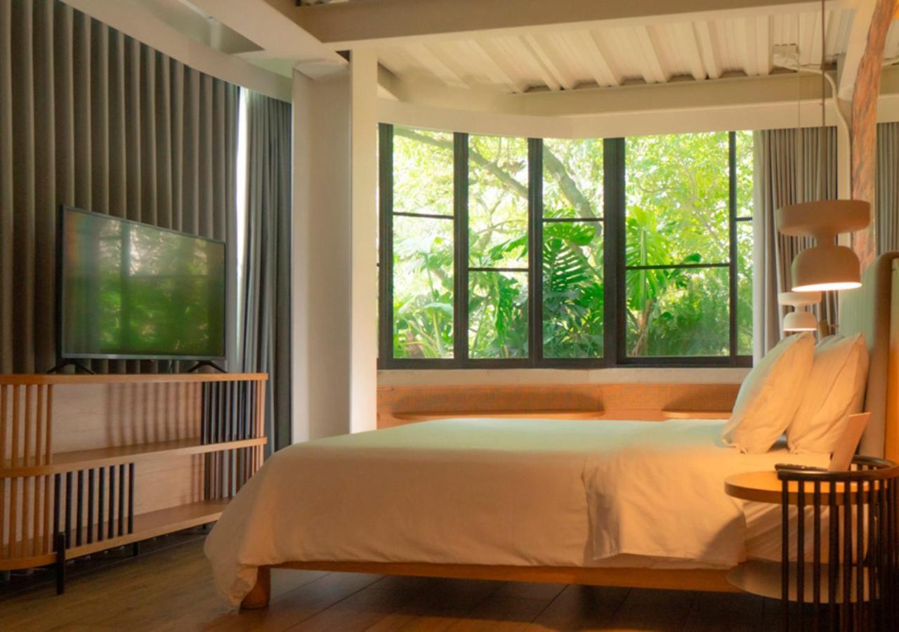 Superior Double Room photo 1