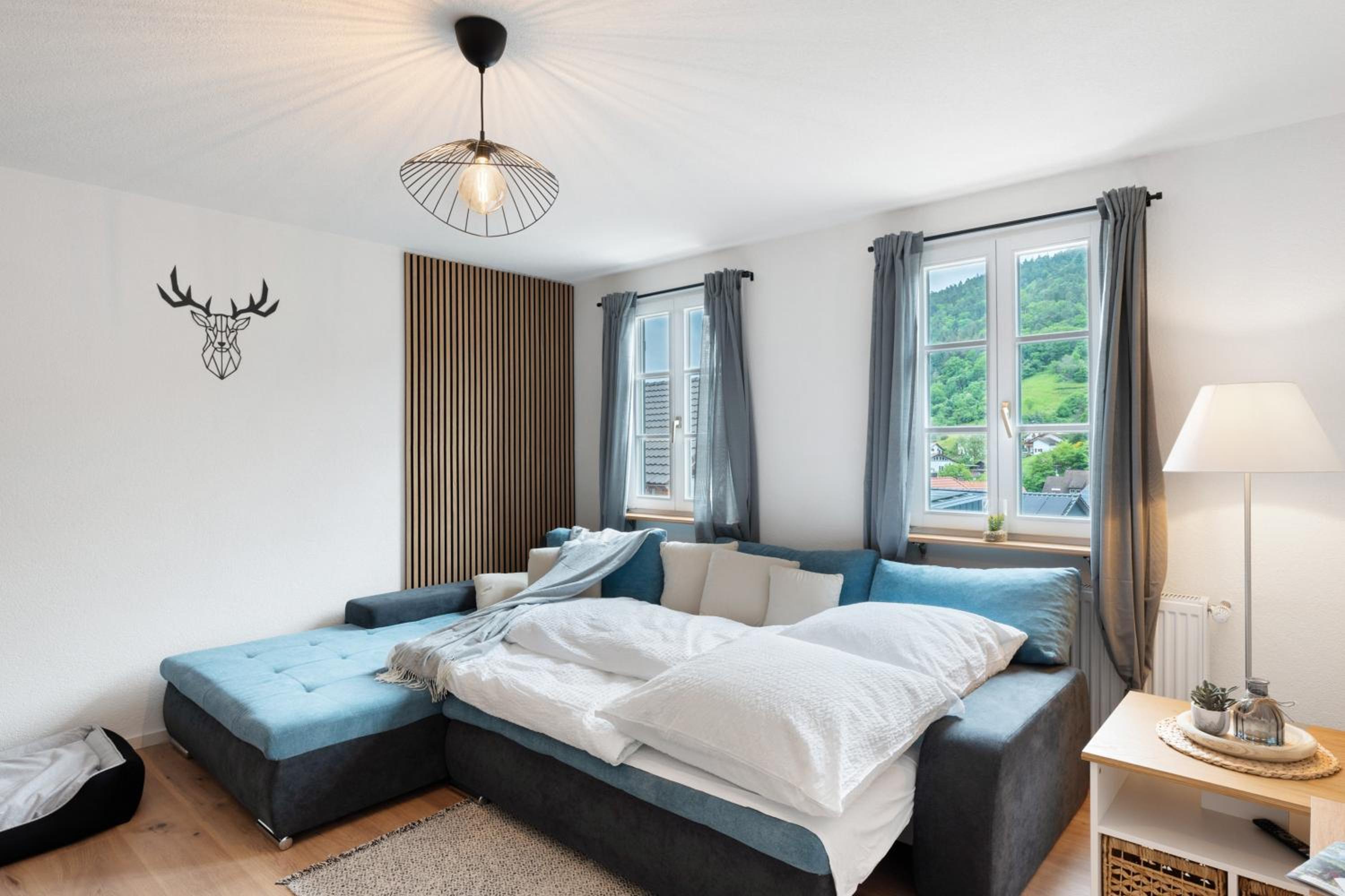 Superior One-Bedroom Apartment with Balcony photo 3