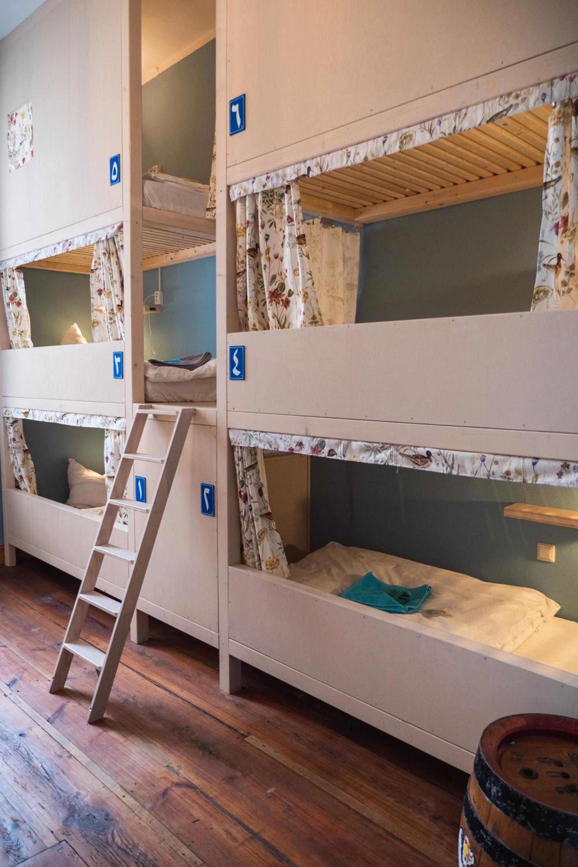 Bunk Bed in Mixed Dormitory Room photo 1