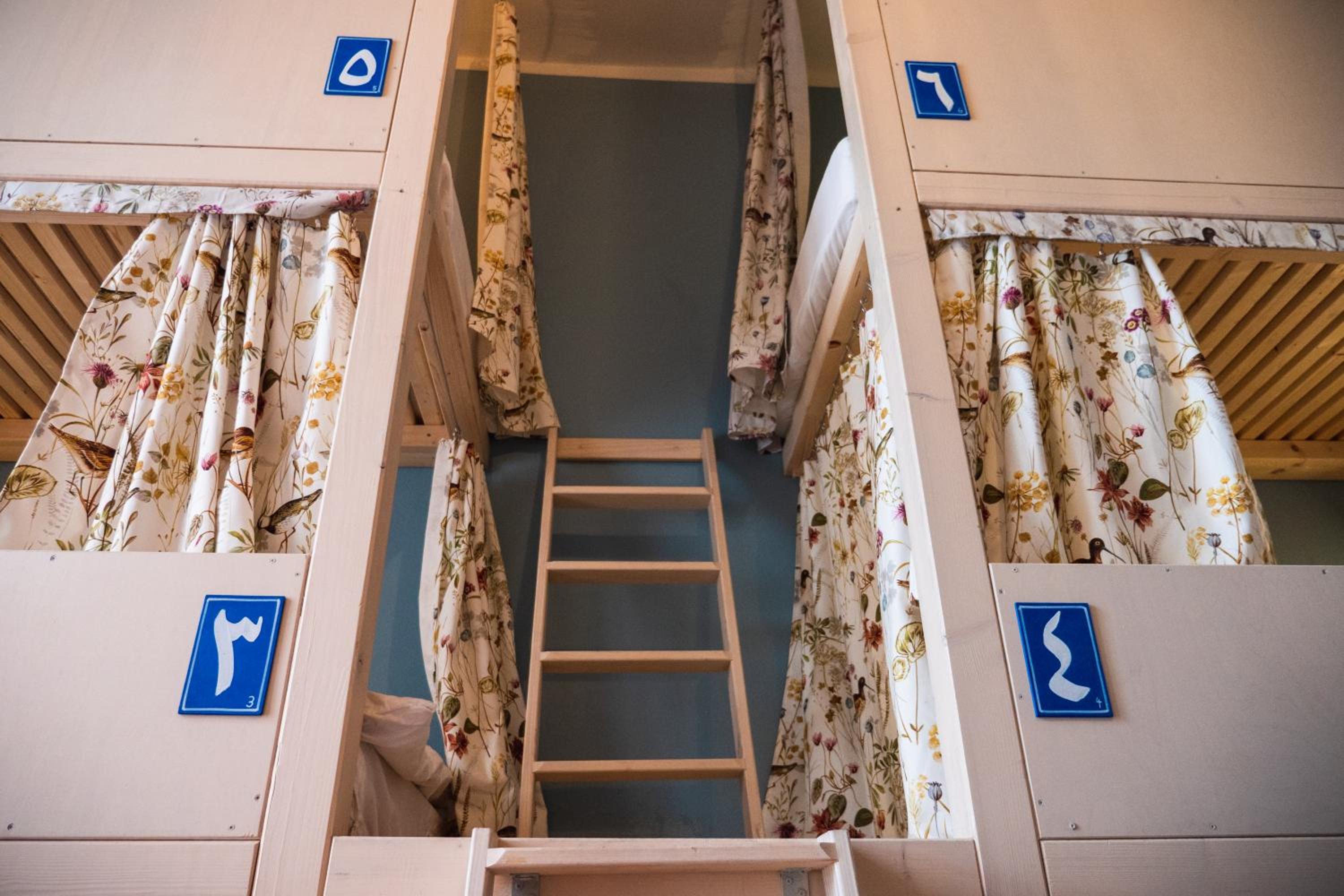 Bunk Bed in Mixed Dormitory Room photo 2