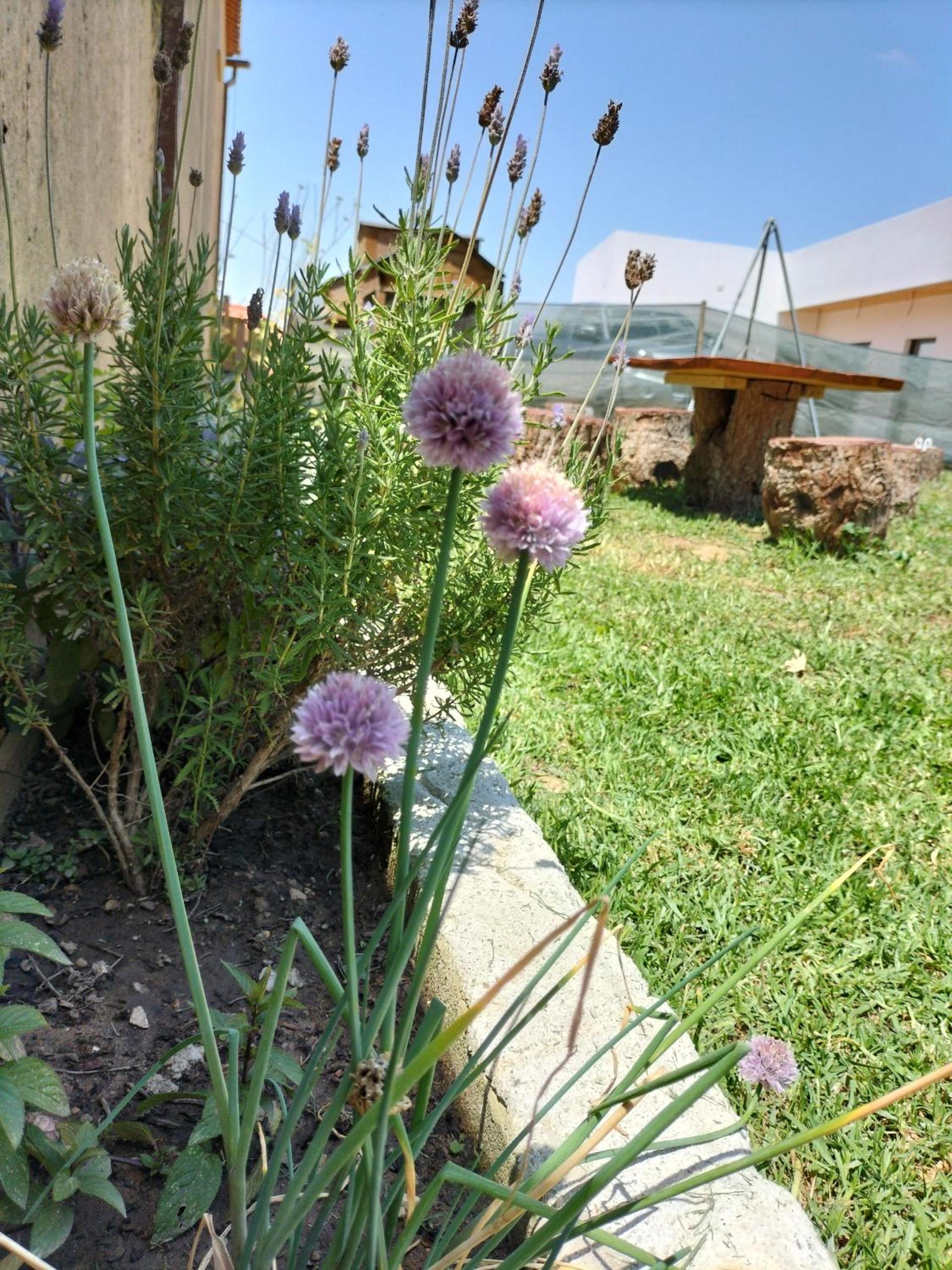 Bungalow photo 2