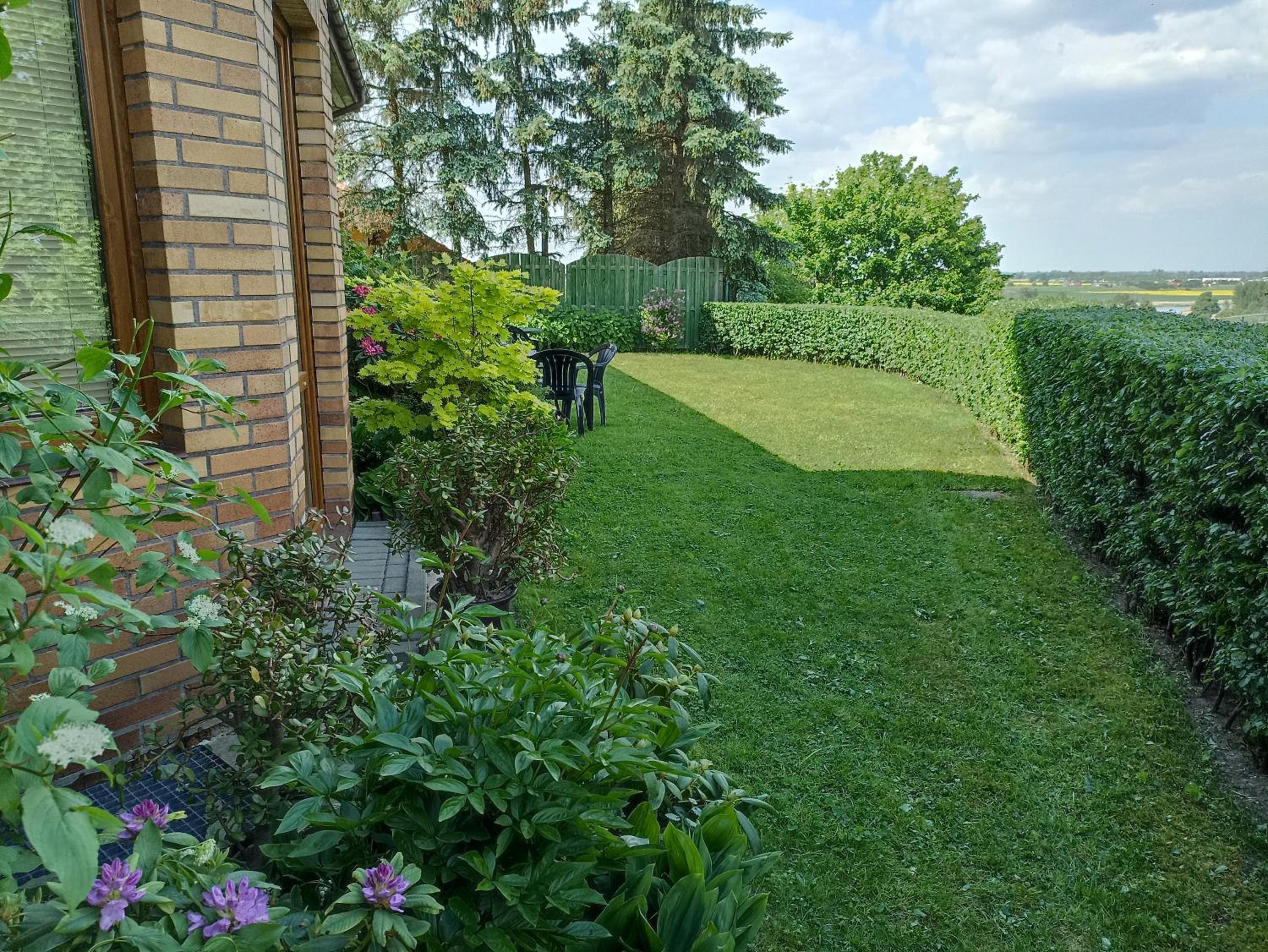 Twin Room with Terrace photo 3