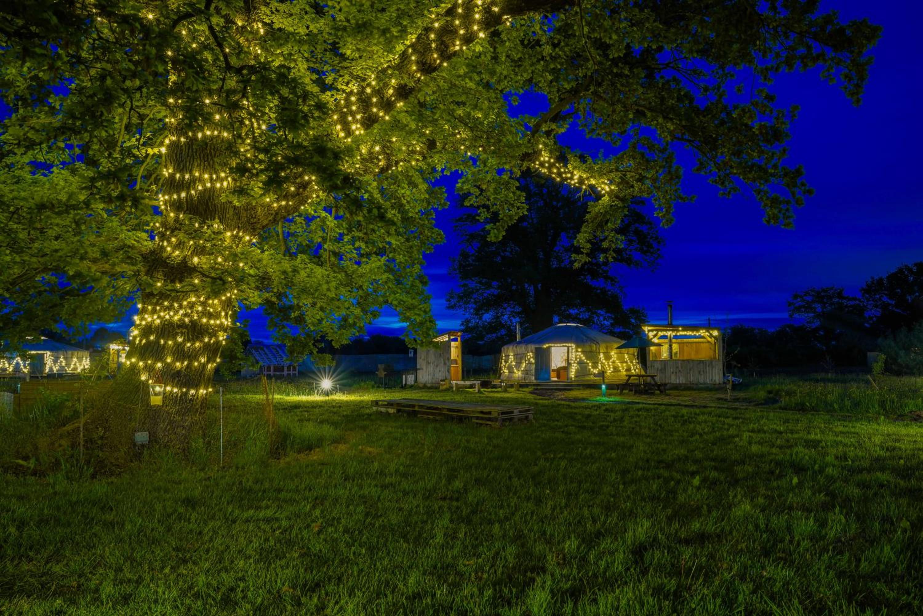 Tent - Photo 11