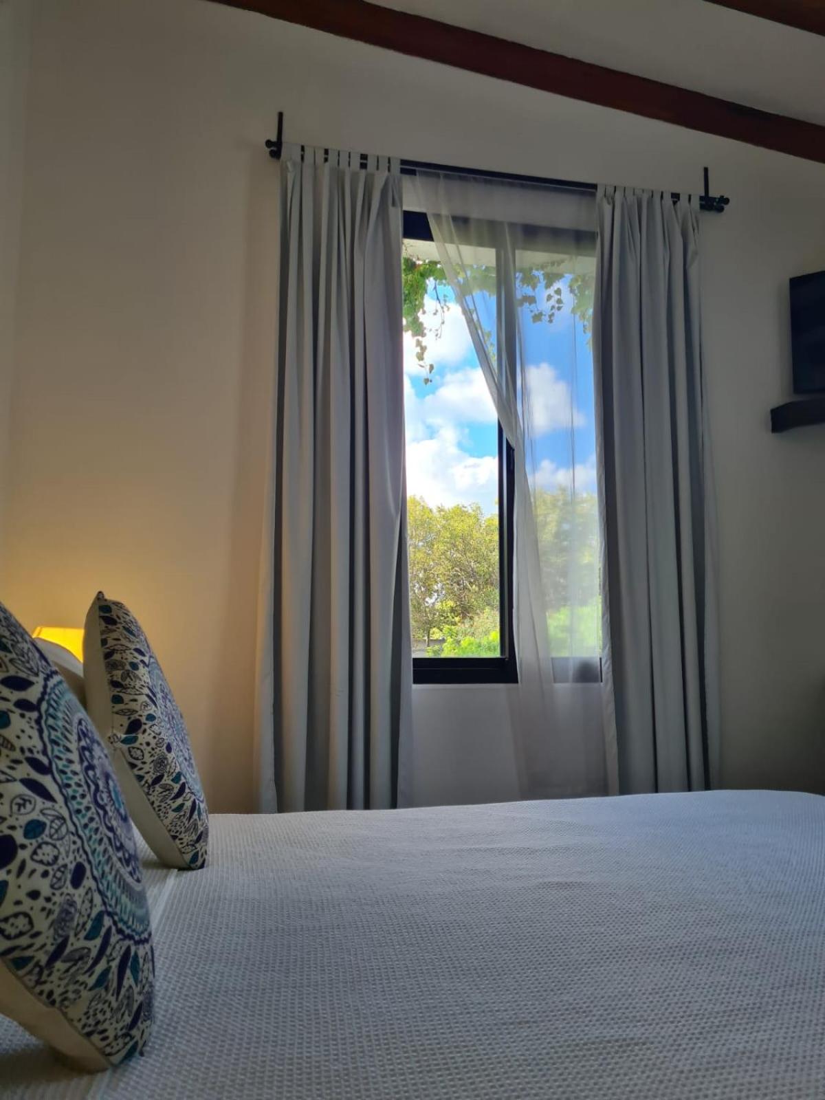 Superior Double or Twin Room photo 3