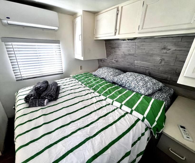 One-Bedroom House photo 3