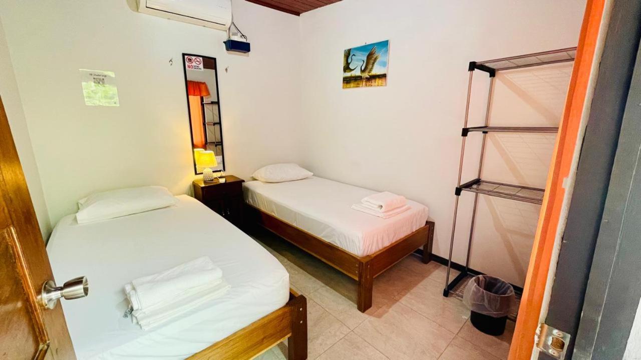 Twin Room photo 2