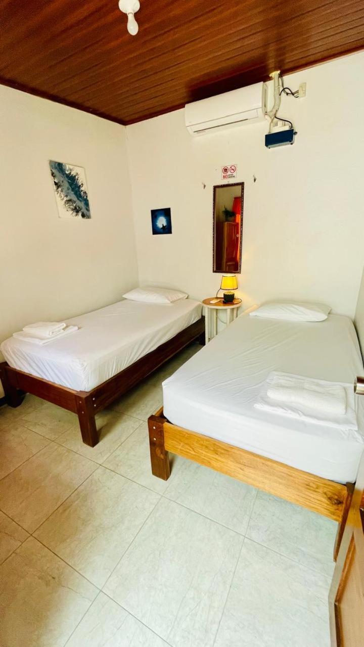 Twin Room photo 2