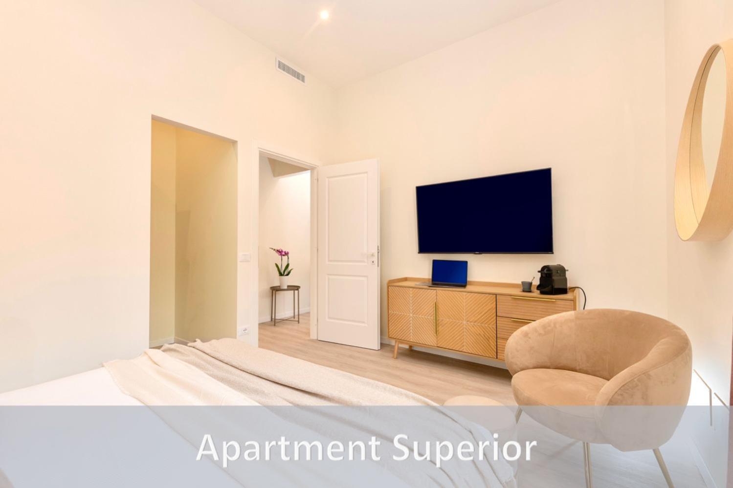 Deluxe Apartment