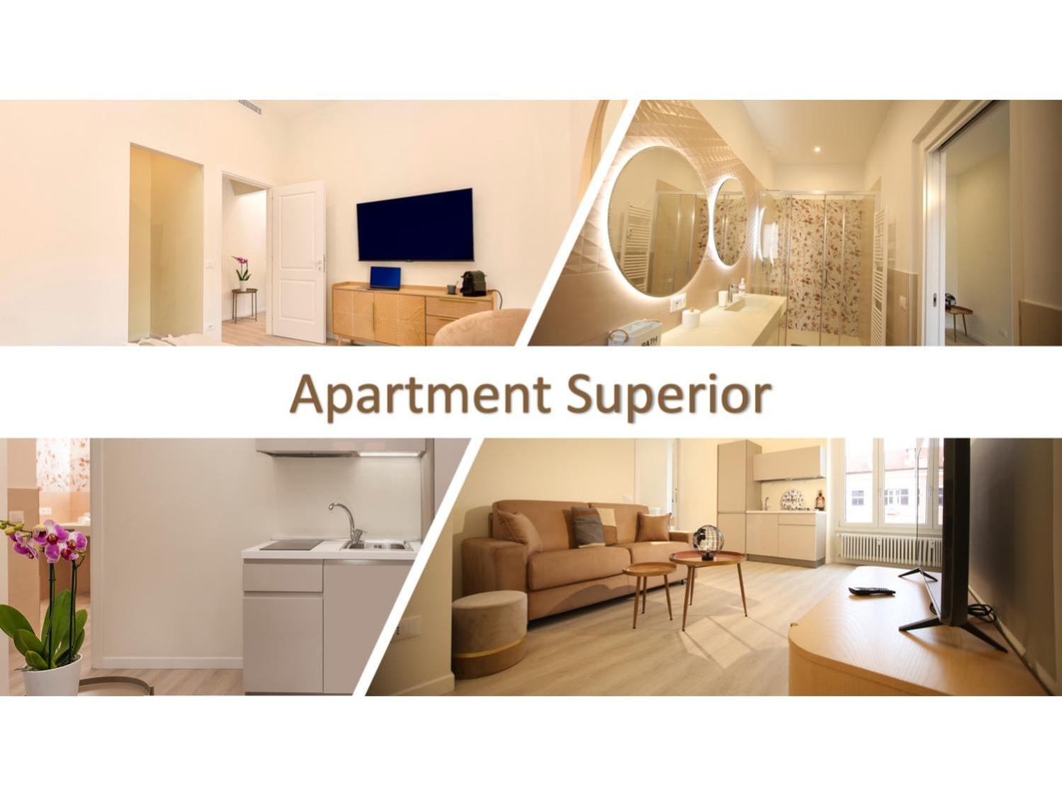 Superior Apartment photo 3