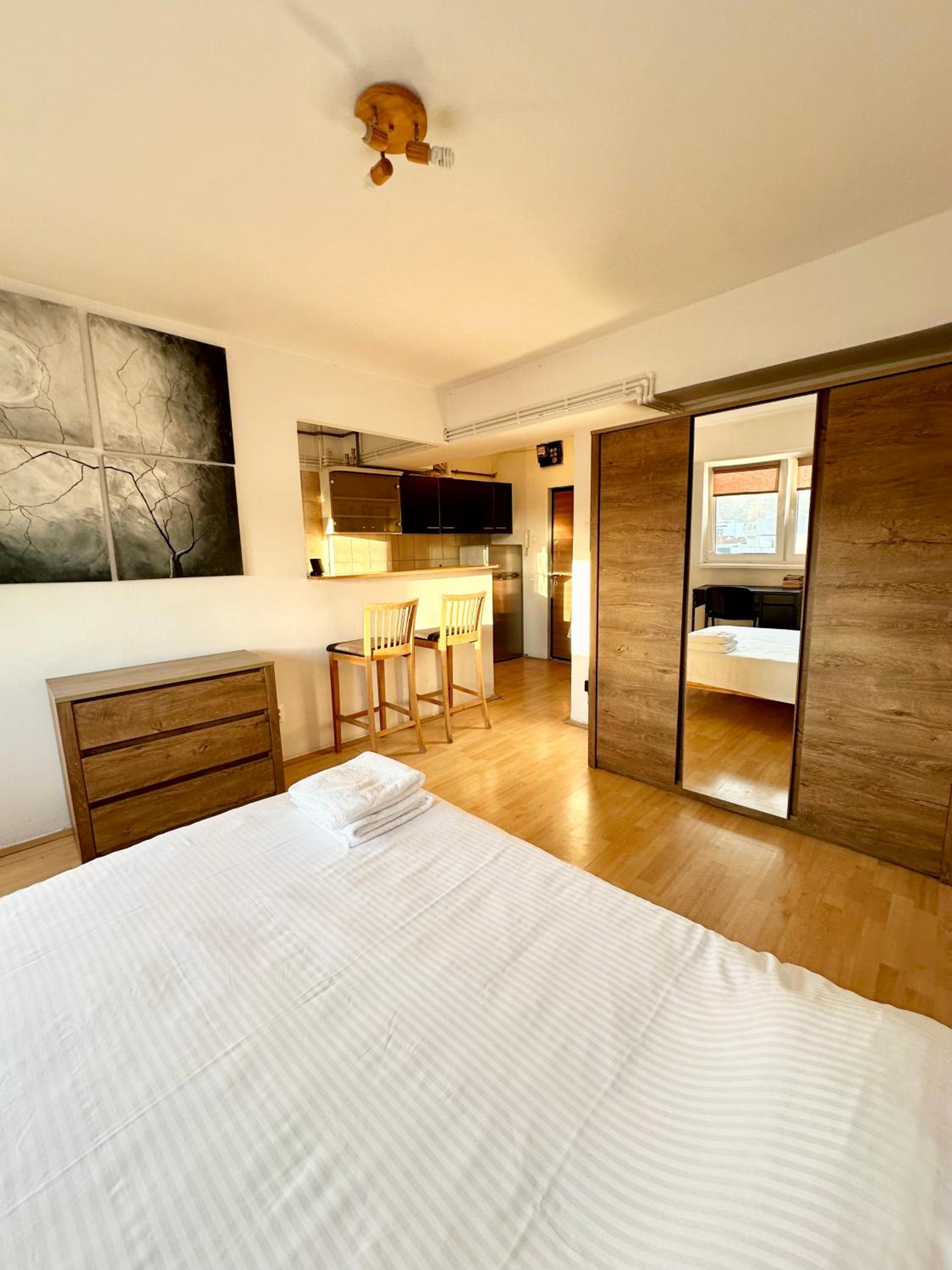 Studio Apartment - Photo 10