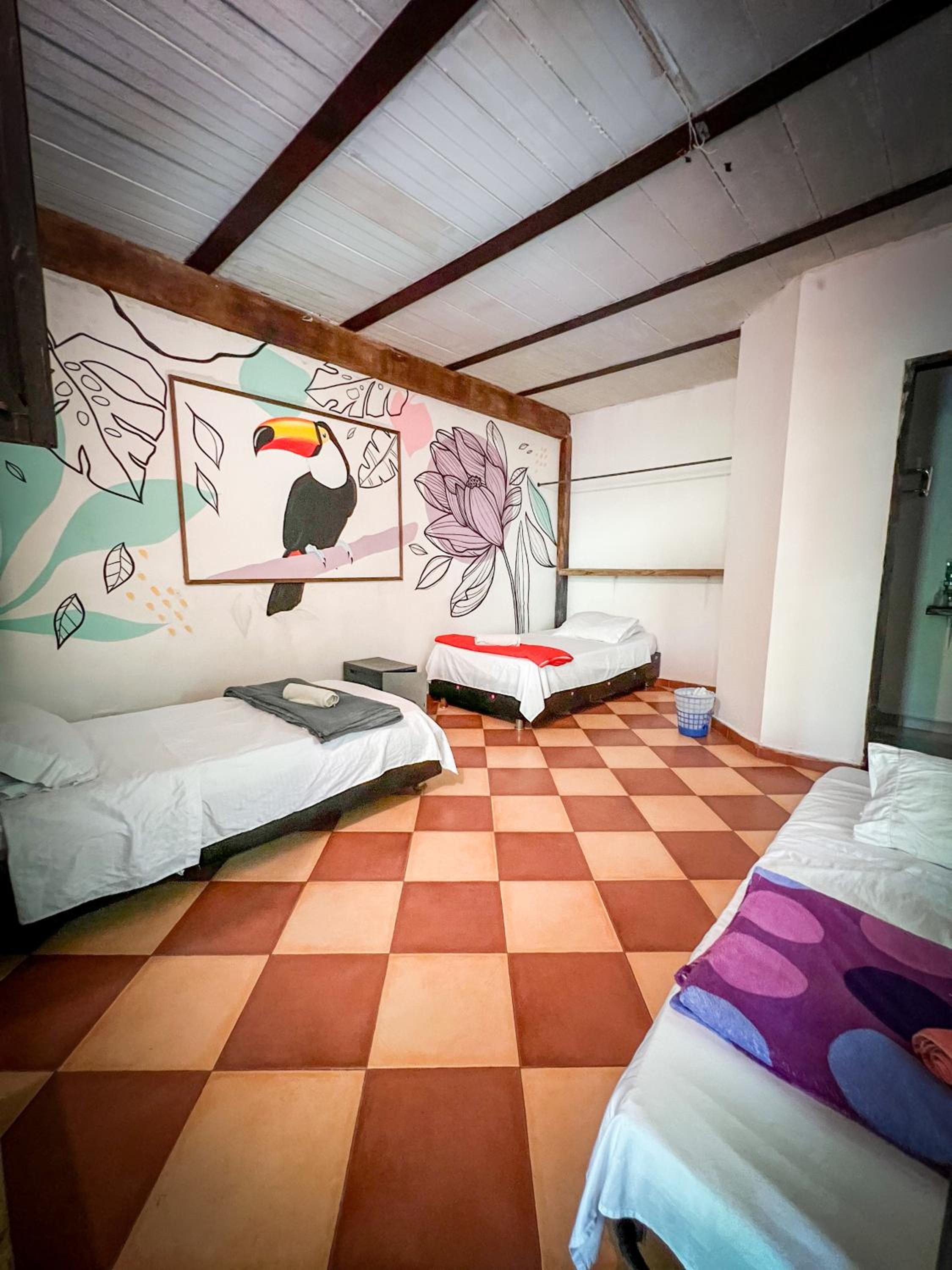 Single Bed in Mixed Dormitory Room photo 3
