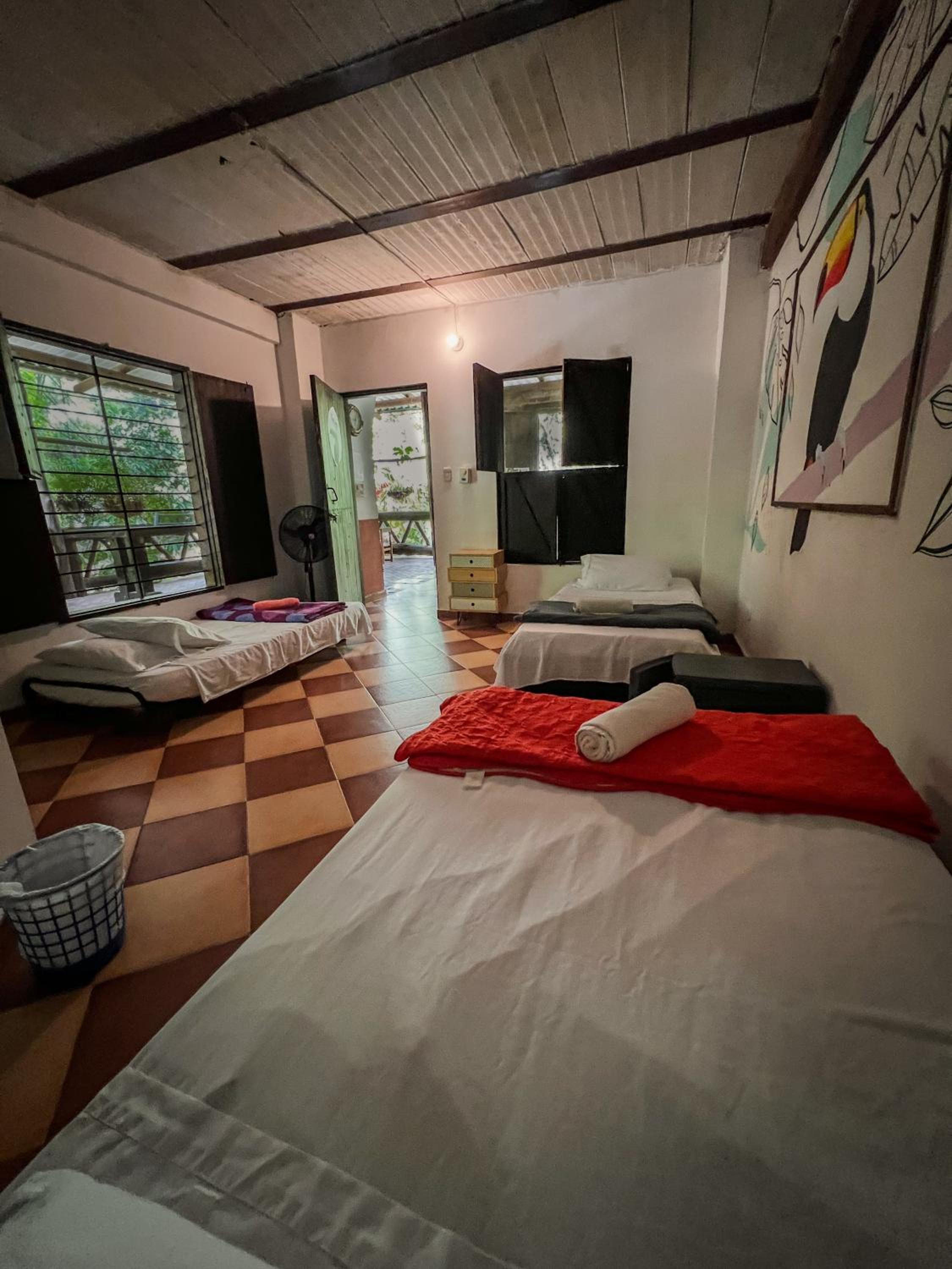 Single Bed in Mixed Dormitory Room photo 2