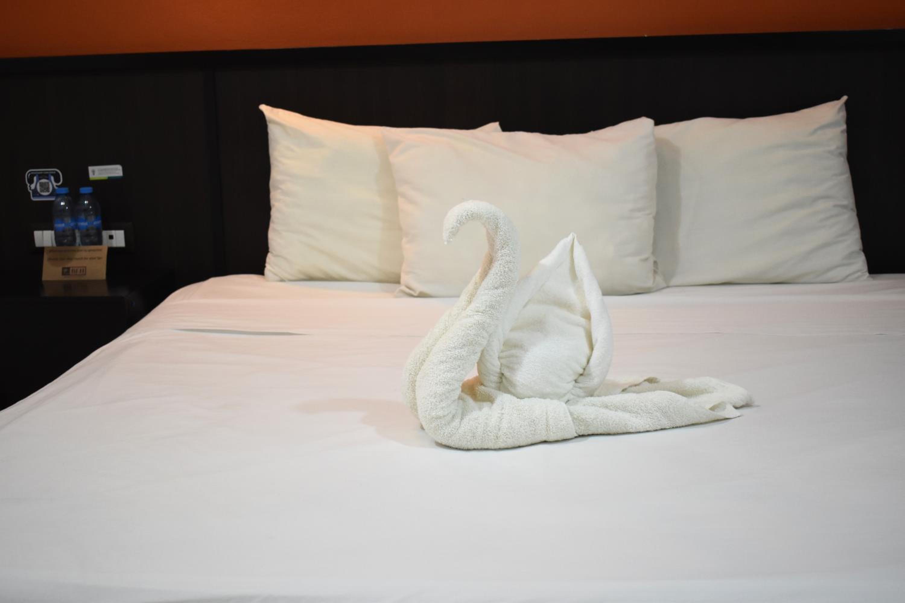 King Room - Photo 9